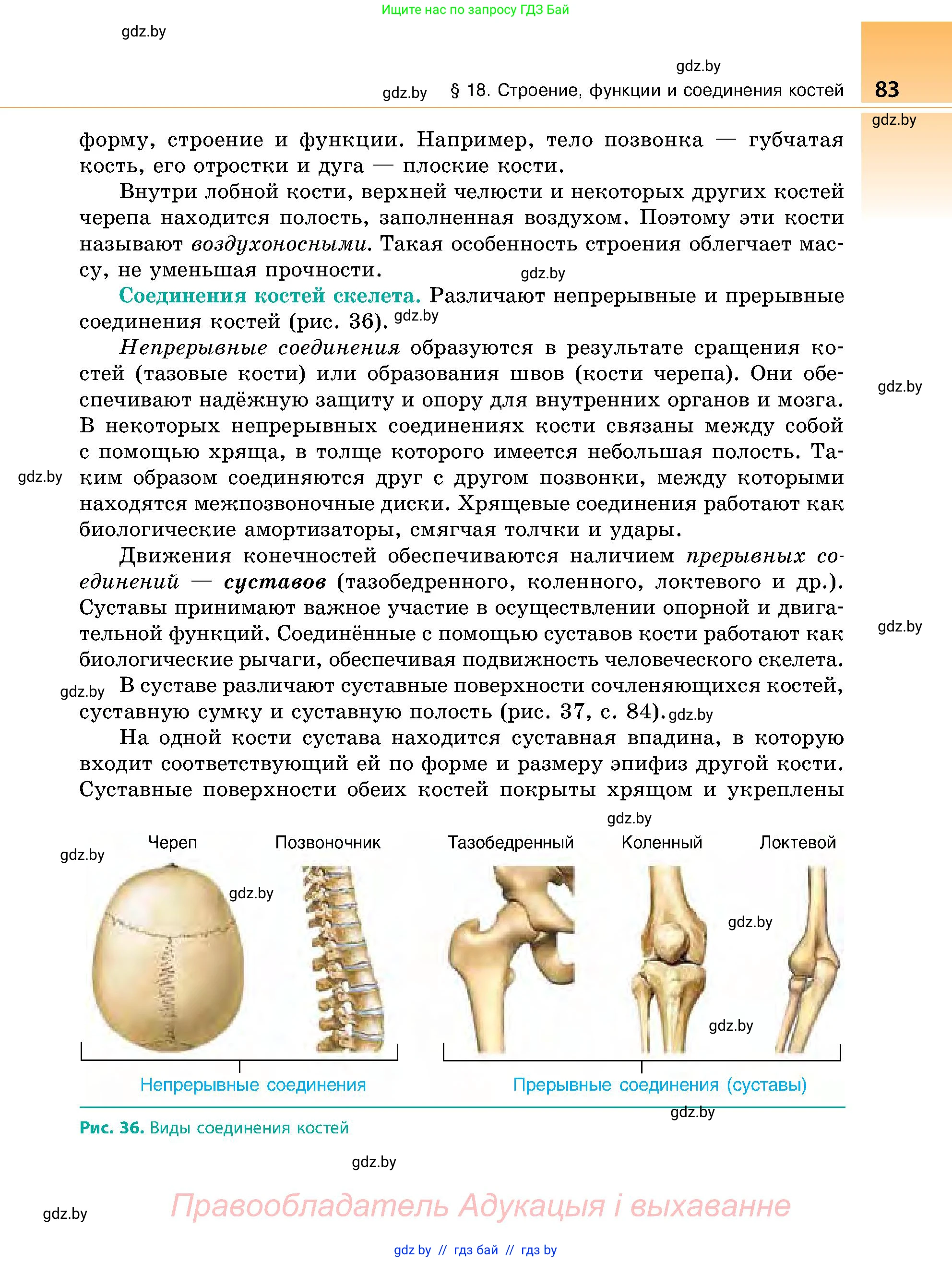 Биология, 9 класс Учебник, авторы: Борисов Олег Леонидович, Антипенко Алеся Анатольевна, Рогожников Олег Николаевич, издательство Адукацыя i выхаванне, Минск, 2025, бирюзового цвета, страница 83