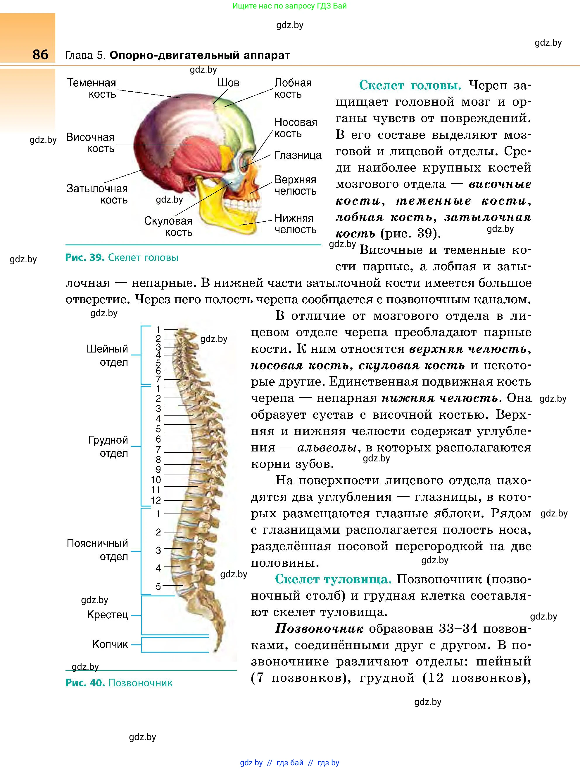 Биология, 9 класс Учебник, авторы: Борисов Олег Леонидович, Антипенко Алеся Анатольевна, Рогожников Олег Николаевич, издательство Адукацыя i выхаванне, Минск, 2025, бирюзового цвета, страница 86