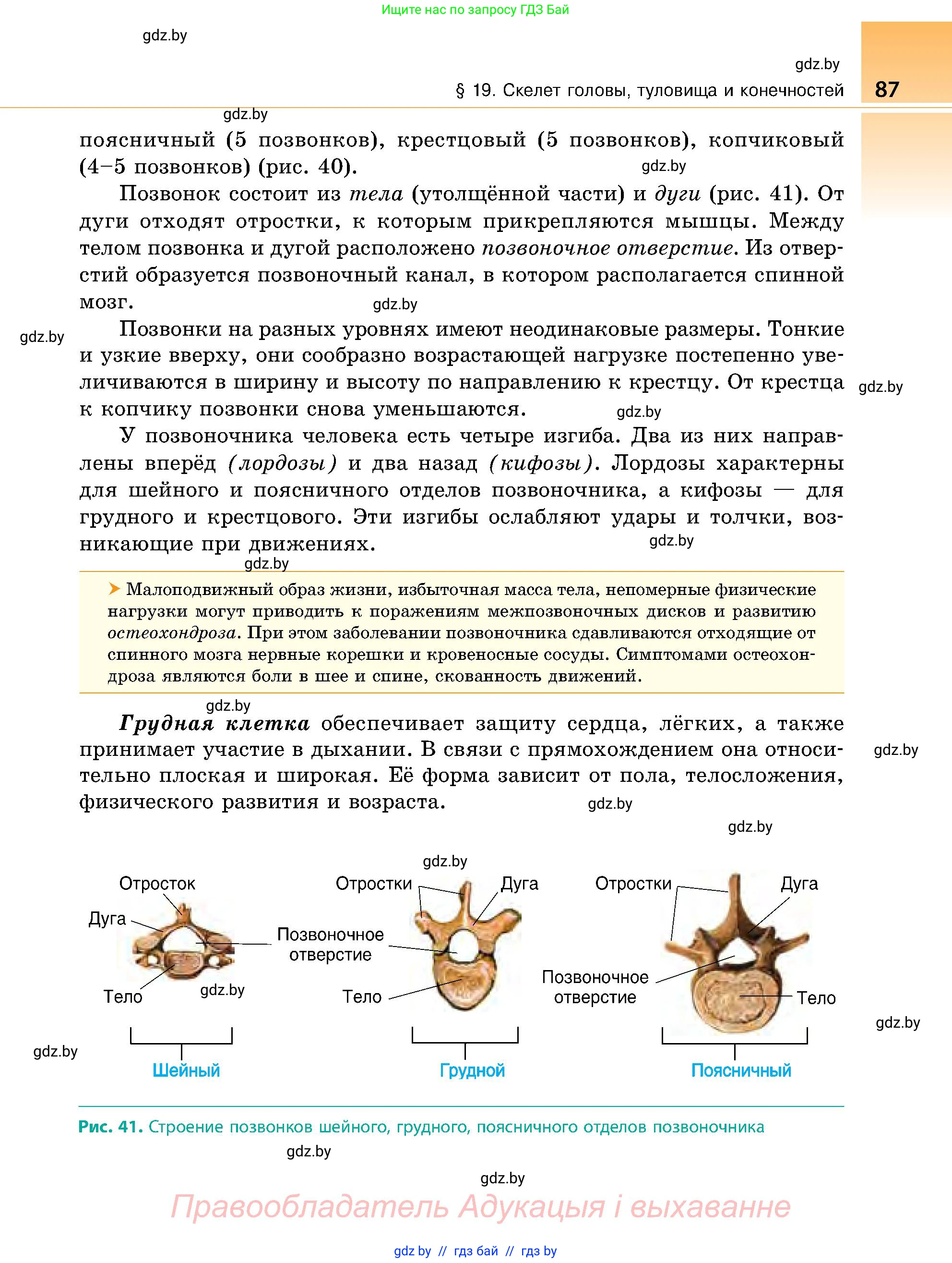 Биология, 9 класс Учебник, авторы: Борисов Олег Леонидович, Антипенко Алеся Анатольевна, Рогожников Олег Николаевич, издательство Адукацыя i выхаванне, Минск, 2025, бирюзового цвета, страница 87