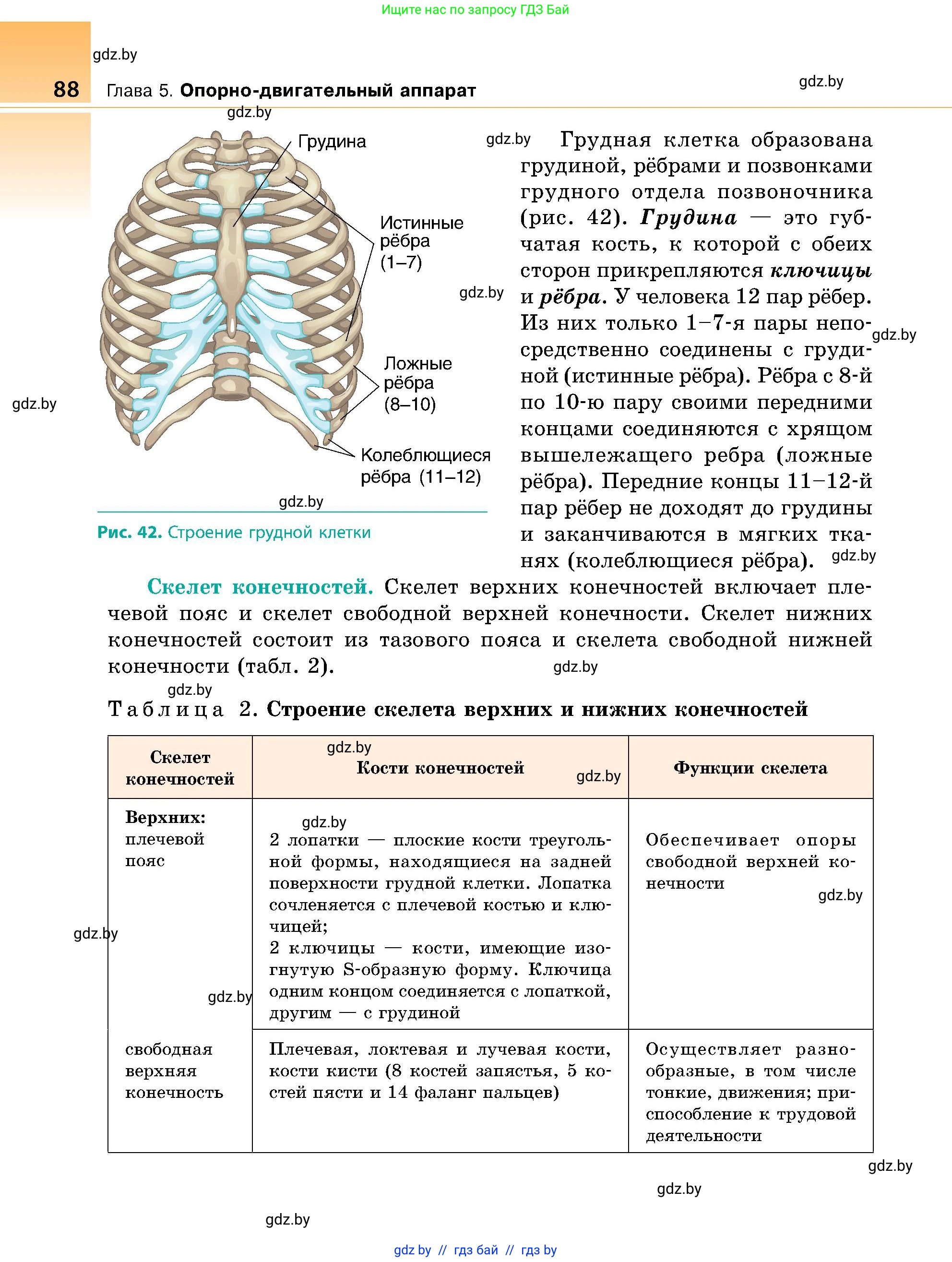 Биология, 9 класс Учебник, авторы: Борисов Олег Леонидович, Антипенко Алеся Анатольевна, Рогожников Олег Николаевич, издательство Адукацыя i выхаванне, Минск, 2025, бирюзового цвета, страница 88