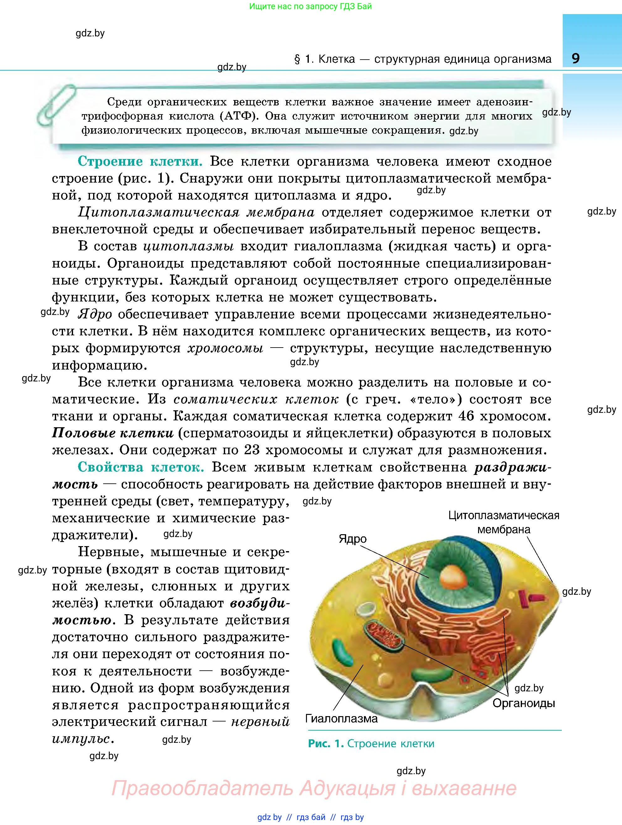 Биология, 9 класс Учебник, авторы: Борисов Олег Леонидович, Антипенко Алеся Анатольевна, Рогожников Олег Николаевич, издательство Адукацыя i выхаванне, Минск, 2025, бирюзового цвета, страница 9