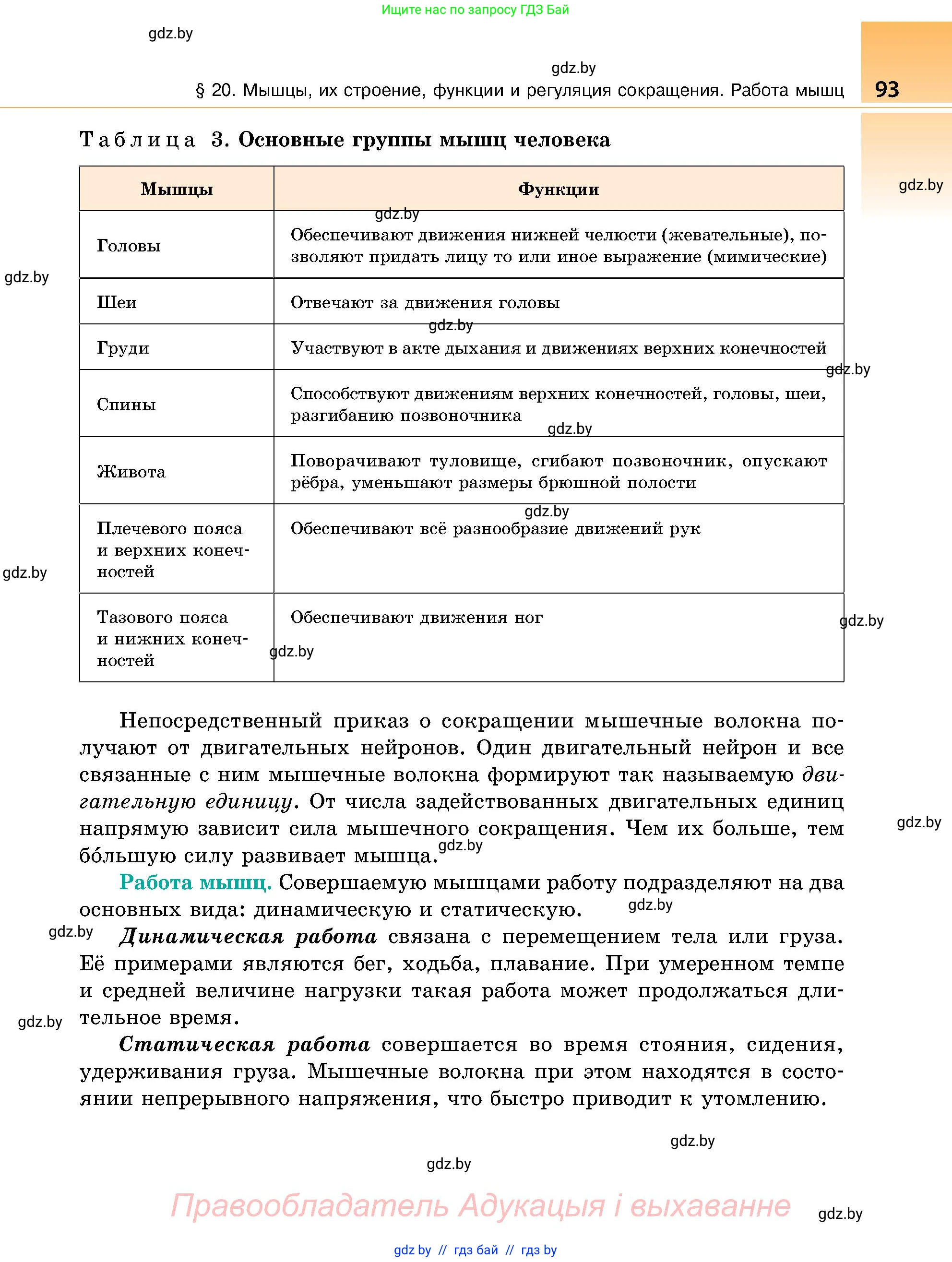 Биология, 9 класс Учебник, авторы: Борисов Олег Леонидович, Антипенко Алеся Анатольевна, Рогожников Олег Николаевич, издательство Адукацыя i выхаванне, Минск, 2025, бирюзового цвета, страница 93