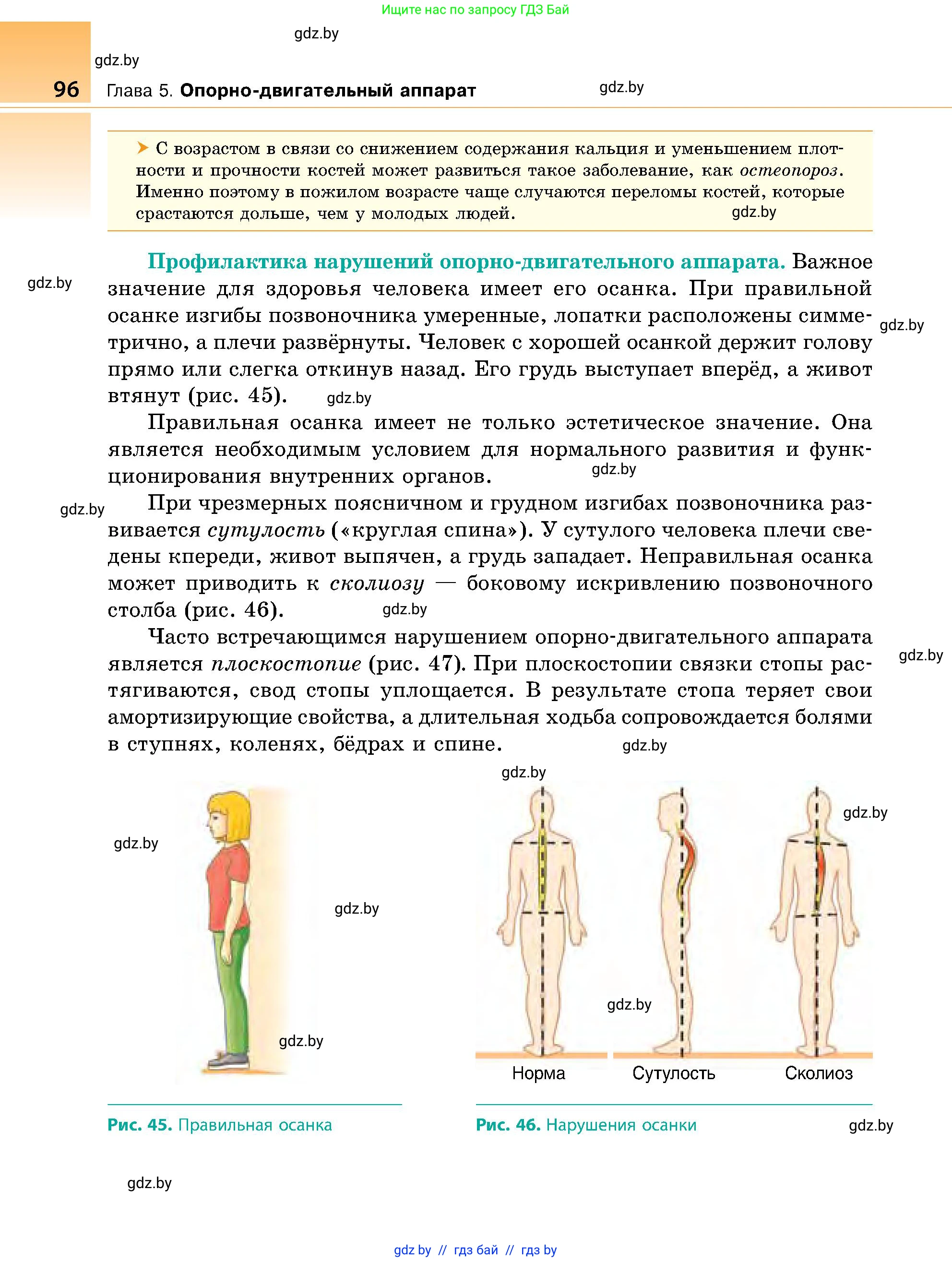 Биология, 9 класс Учебник, авторы: Борисов Олег Леонидович, Антипенко Алеся Анатольевна, Рогожников Олег Николаевич, издательство Адукацыя i выхаванне, Минск, 2025, бирюзового цвета, страница 96