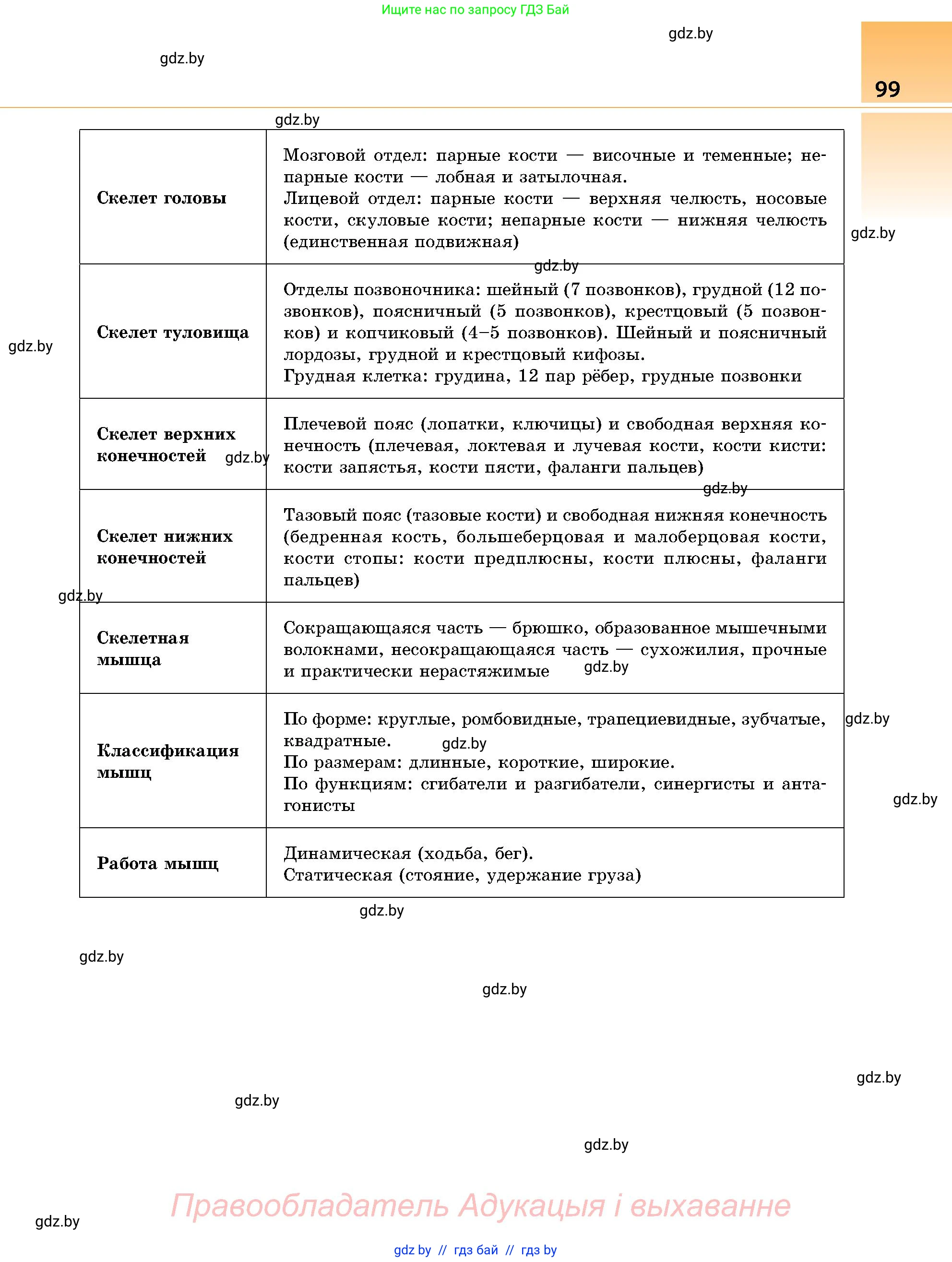 Биология, 9 класс Учебник, авторы: Борисов Олег Леонидович, Антипенко Алеся Анатольевна, Рогожников Олег Николаевич, издательство Адукацыя i выхаванне, Минск, 2025, бирюзового цвета, страница 99