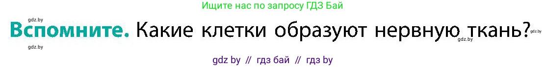 Биология, 9 класс Учебник, авторы: Борисов Олег Леонидович, Антипенко Алеся Анатольевна, Рогожников Олег Николаевич, издательство Адукацыя i выхаванне, Минск, 2025, бирюзового цвета, страница 26, Условие