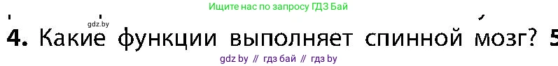 Биология, 9 класс Учебник, авторы: Борисов Олег Леонидович, Антипенко Алеся Анатольевна, Рогожников Олег Николаевич, издательство Адукацыя i выхаванне, Минск, 2025, бирюзового цвета, страница 33, номер 4, Условие