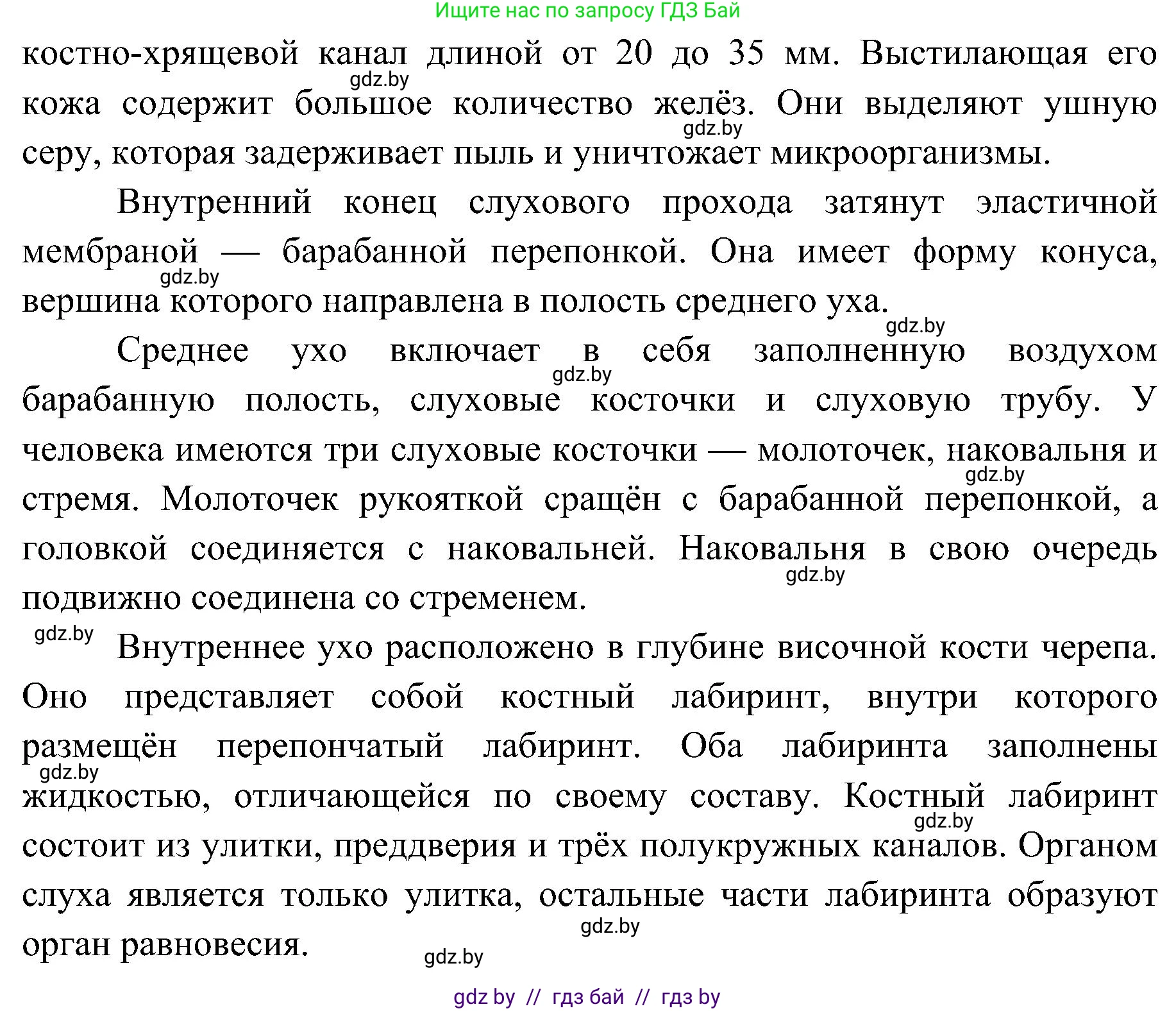 Биология, 9 класс Учебник, авторы: Борисов Олег Леонидович, Антипенко Алеся Анатольевна, Рогожников Олег Николаевич, издательство Адукацыя i выхаванне, Минск, 2025, бирюзового цвета, страница 62, номер 2, Решение (продолжение 2)