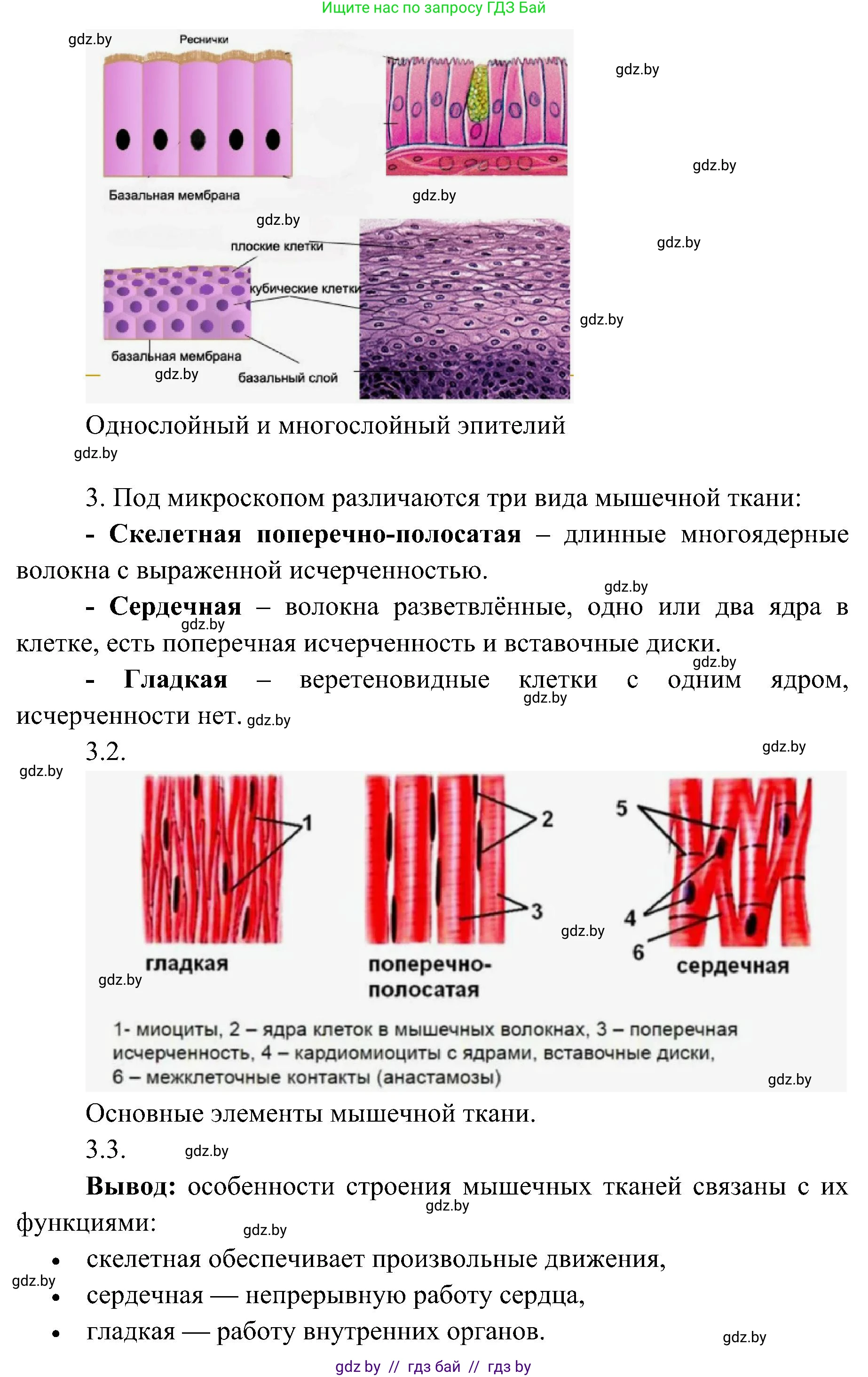 Биология, 9 класс Учебник, авторы: Борисов Олег Леонидович, Антипенко Алеся Анатольевна, Рогожников Олег Николаевич, издательство Адукацыя i выхаванне, Минск, 2025, бирюзового цвета, страница 13, Решение (продолжение 2)