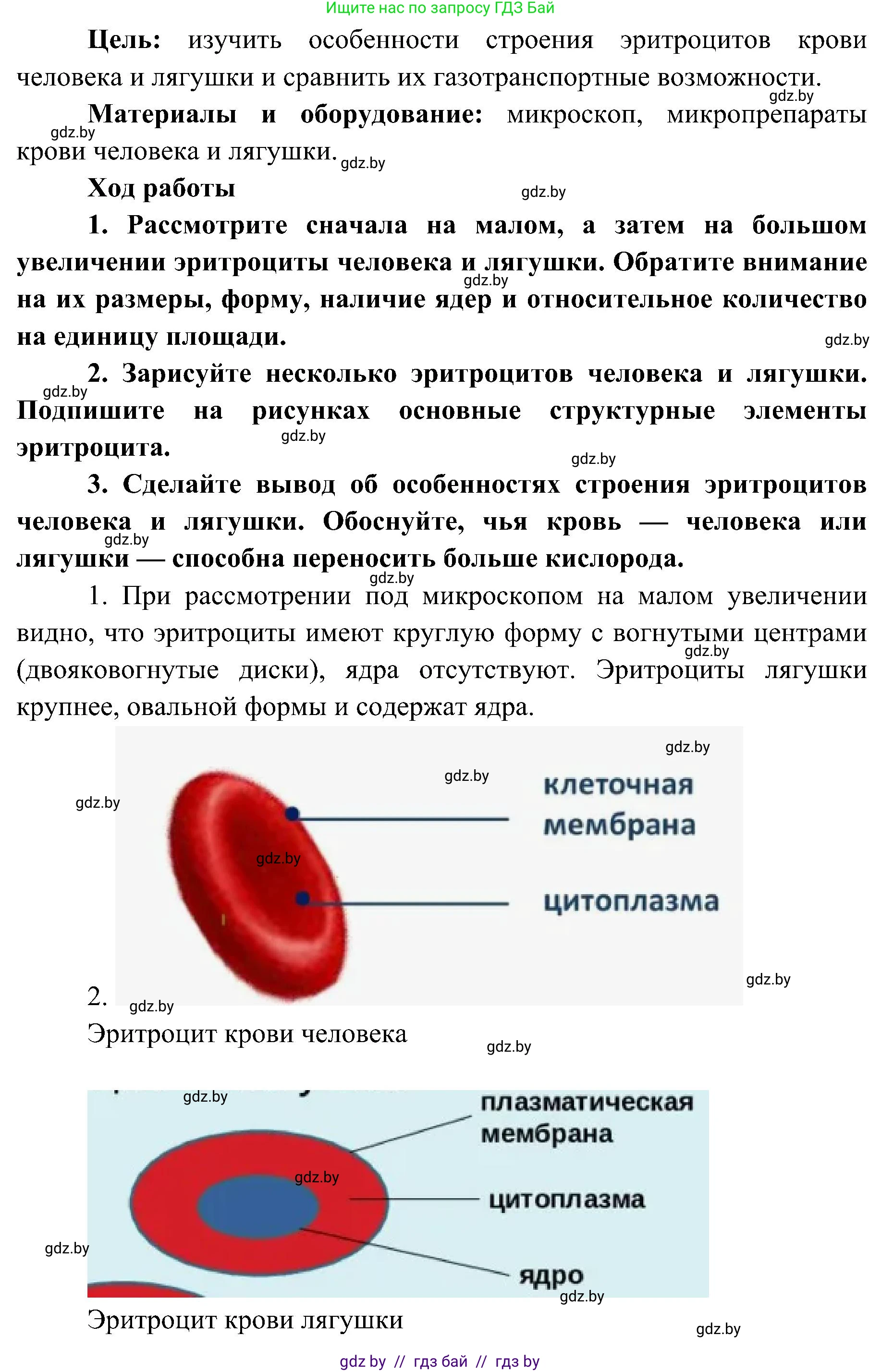 Биология, 9 класс Учебник, авторы: Борисов Олег Леонидович, Антипенко Алеся Анатольевна, Рогожников Олег Николаевич, издательство Адукацыя i выхаванне, Минск, 2025, бирюзового цвета, страница 106, Решение (продолжение 2)