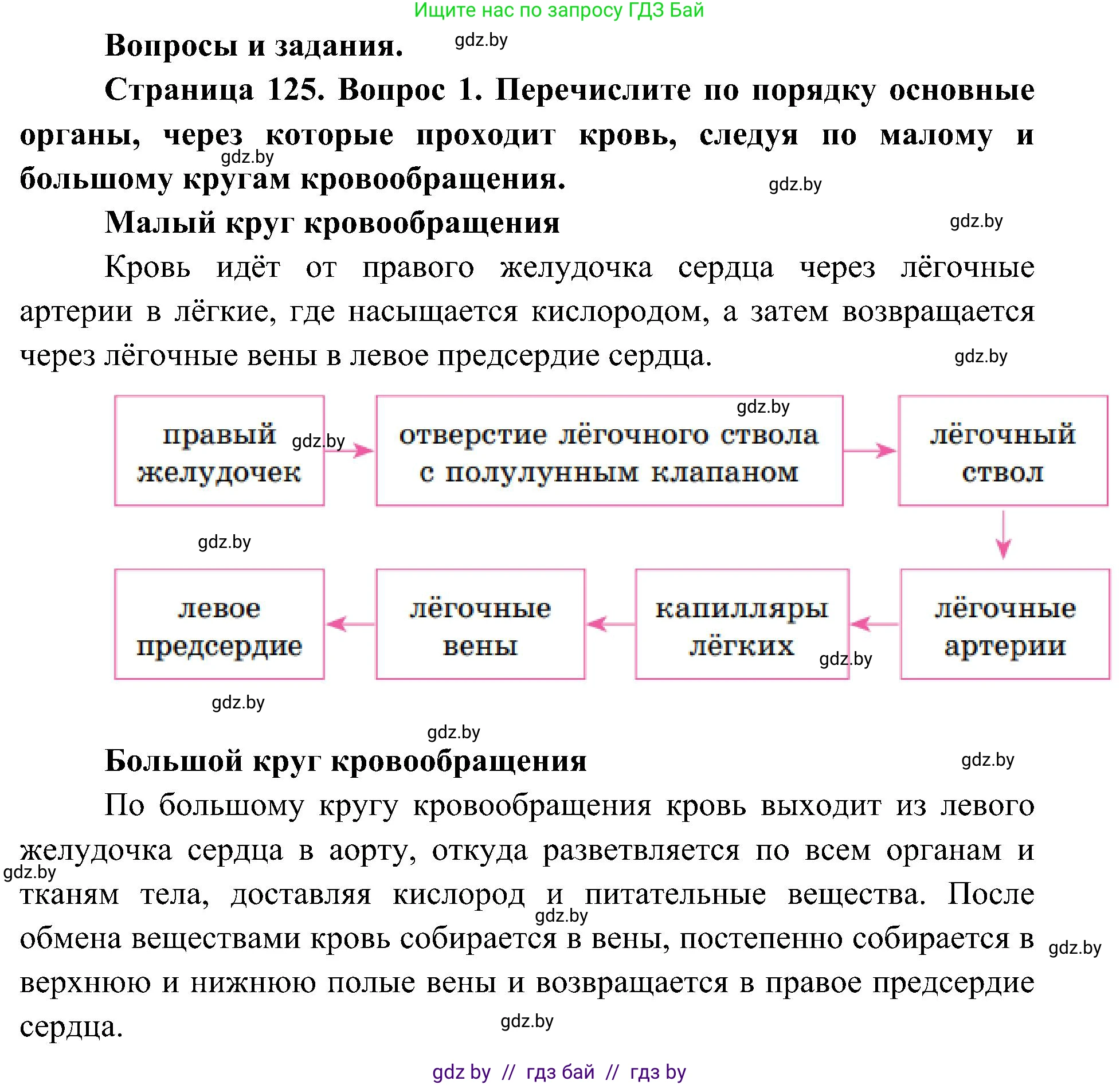 Биология, 9 класс Учебник, авторы: Борисов Олег Леонидович, Антипенко Алеся Анатольевна, Рогожников Олег Николаевич, издательство Адукацыя i выхаванне, Минск, 2025, бирюзового цвета, страница 125, номер 1, Решение