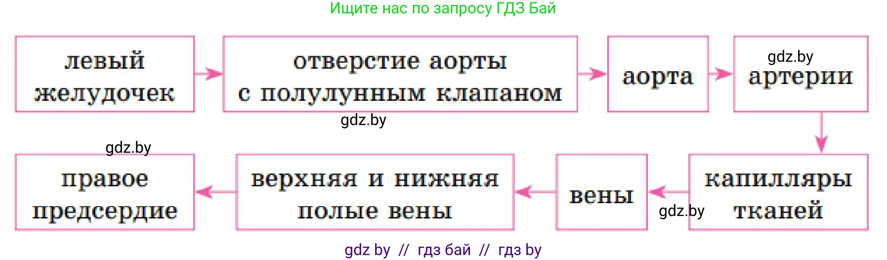 Биология, 9 класс Учебник, авторы: Борисов Олег Леонидович, Антипенко Алеся Анатольевна, Рогожников Олег Николаевич, издательство Адукацыя i выхаванне, Минск, 2025, бирюзового цвета, страница 125, номер 1, Решение (продолжение 2)