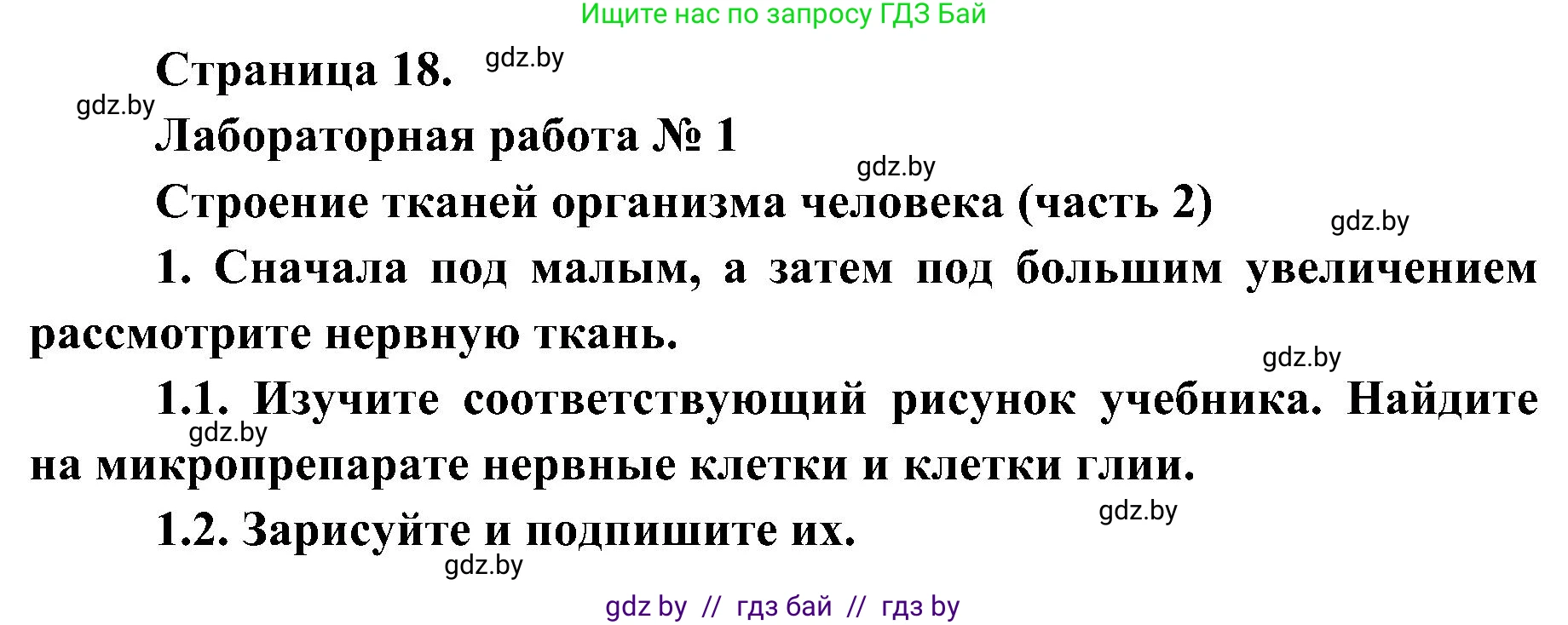 Биология, 9 класс Учебник, авторы: Борисов Олег Леонидович, Антипенко Алеся Анатольевна, Рогожников Олег Николаевич, издательство Адукацыя i выхаванне, Минск, 2025, бирюзового цвета, страница 18, Решение