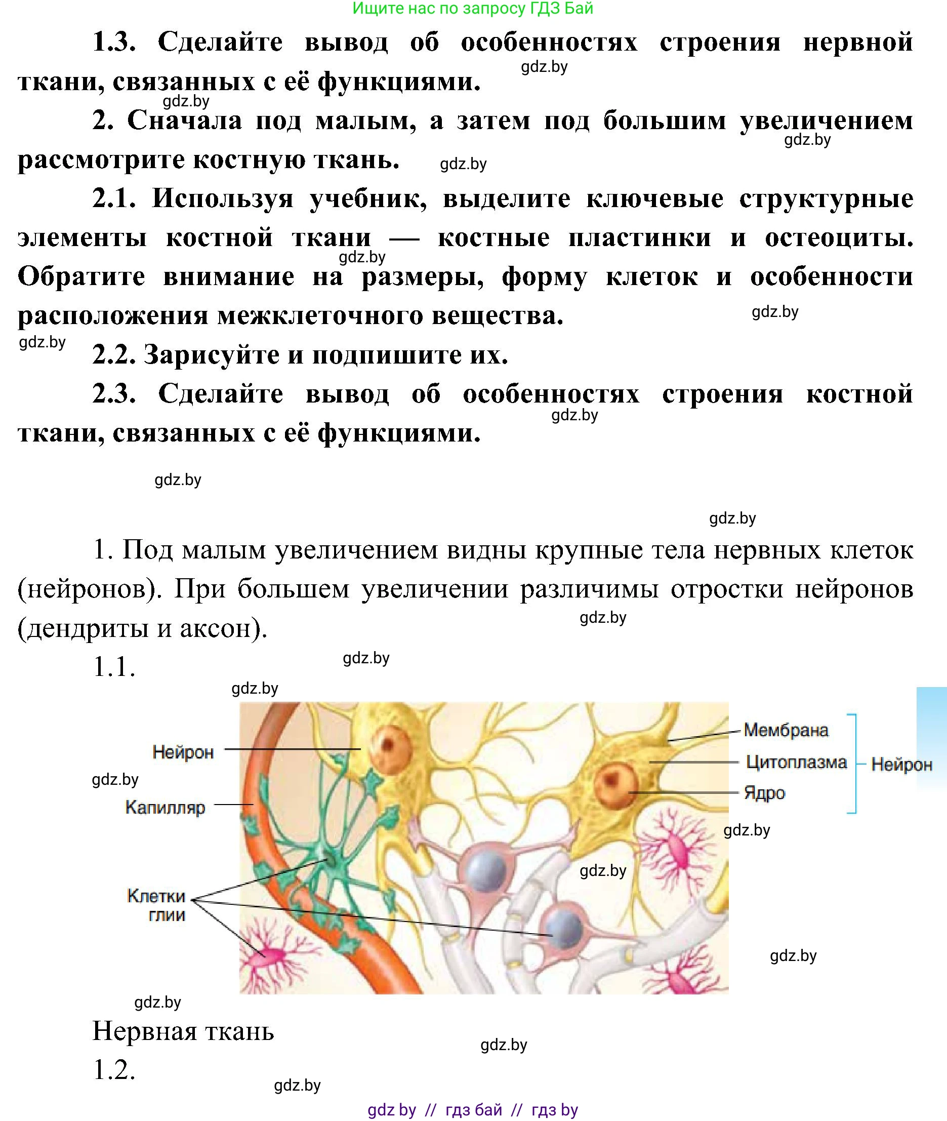 Биология, 9 класс Учебник, авторы: Борисов Олег Леонидович, Антипенко Алеся Анатольевна, Рогожников Олег Николаевич, издательство Адукацыя i выхаванне, Минск, 2025, бирюзового цвета, страница 18, Решение (продолжение 2)