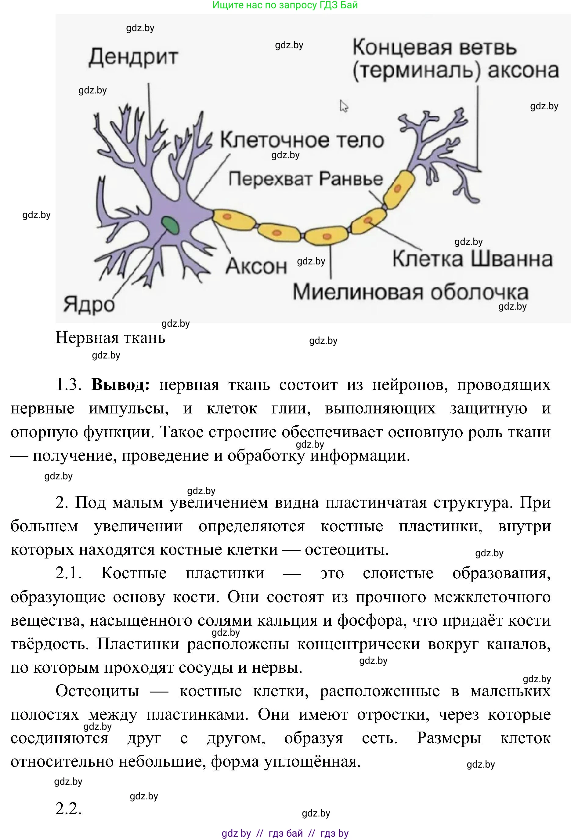 Биология, 9 класс Учебник, авторы: Борисов Олег Леонидович, Антипенко Алеся Анатольевна, Рогожников Олег Николаевич, издательство Адукацыя i выхаванне, Минск, 2025, бирюзового цвета, страница 18, Решение (продолжение 3)