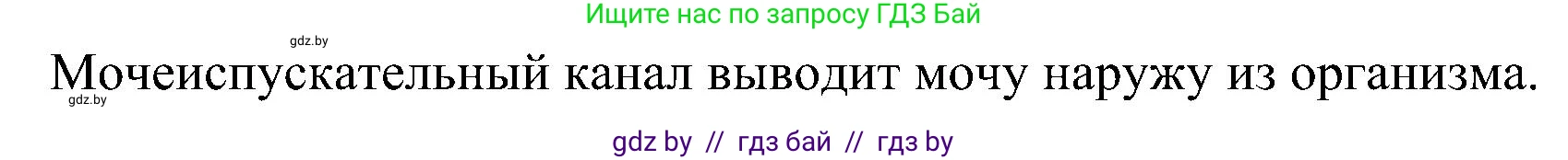 Биология, 9 класс Учебник, авторы: Борисов Олег Леонидович, Антипенко Алеся Анатольевна, Рогожников Олег Николаевич, издательство Адукацыя i выхаванне, Минск, 2025, бирюзового цвета, страница 175, номер 2, Решение (продолжение 2)