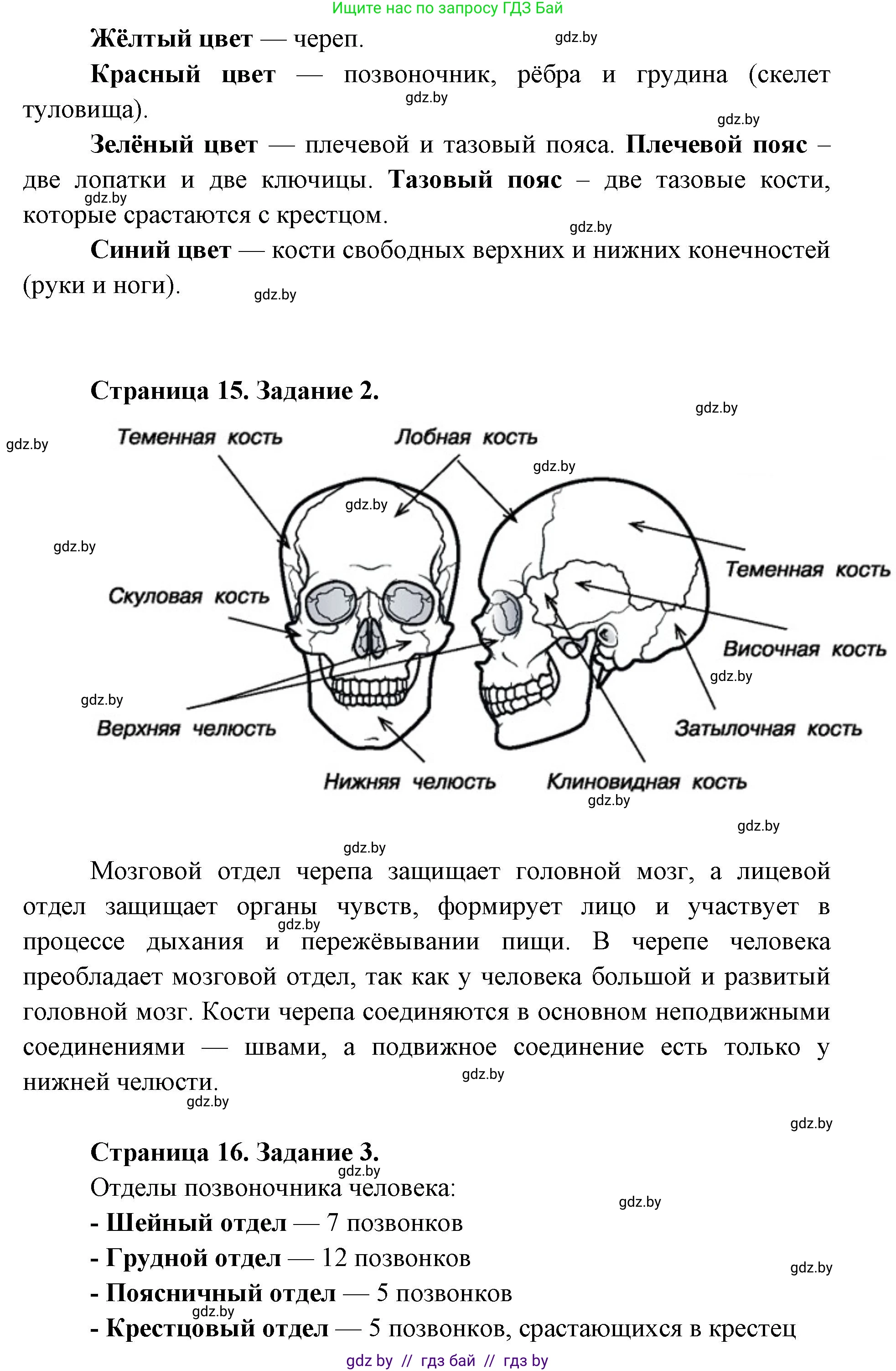 Биология, 9 класс Тетрадь для лабораторных и практических работ, автор: Лисов Николай Дмитриевич, издательство Аверсэв, Минск, 2025, оранжевого цвета, страница 12, Решение 2025 (продолжение 2)