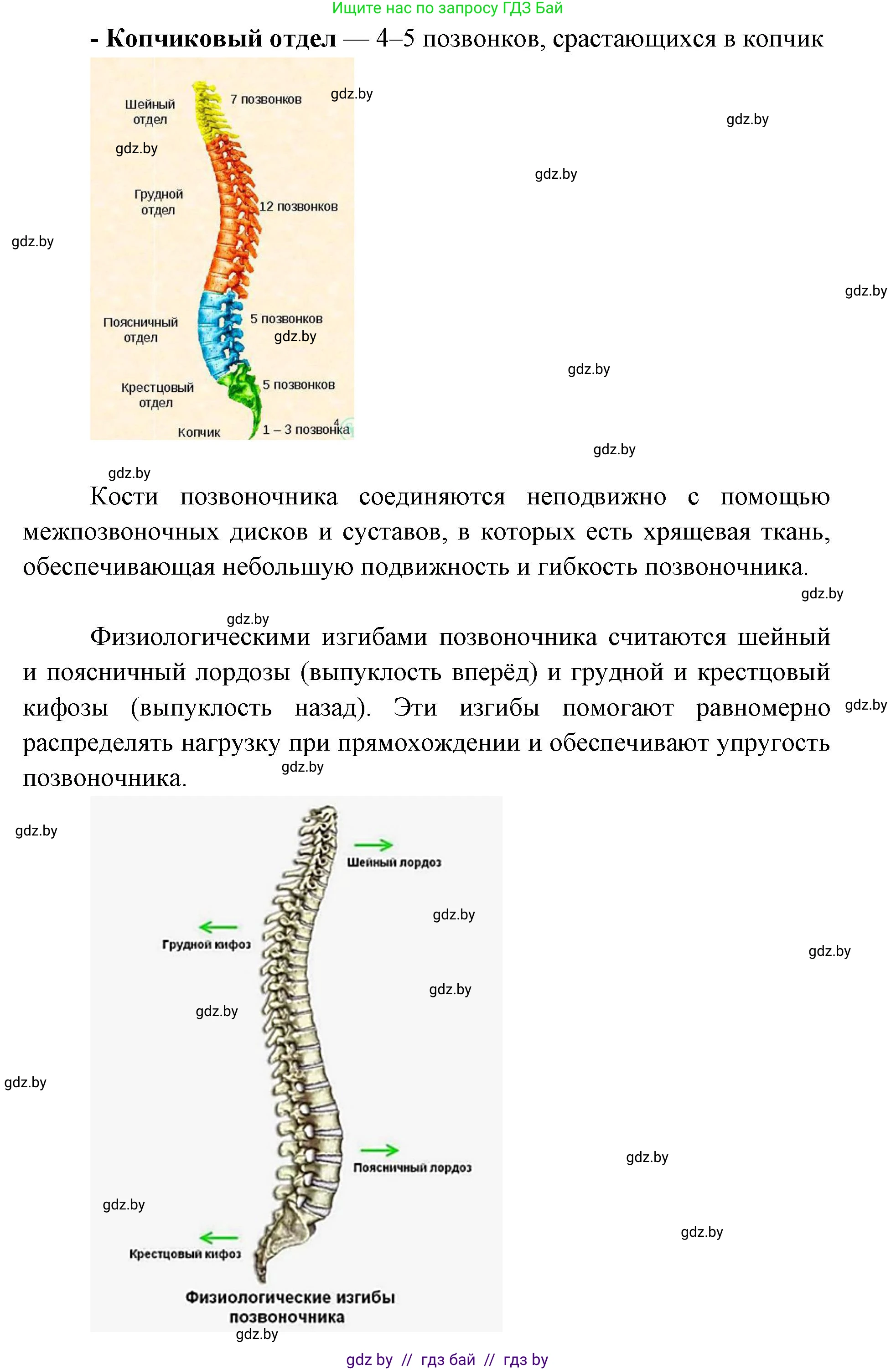 Биология, 9 класс Тетрадь для лабораторных и практических работ, автор: Лисов Николай Дмитриевич, издательство Аверсэв, Минск, 2025, оранжевого цвета, страница 12, Решение 2025 (продолжение 3)