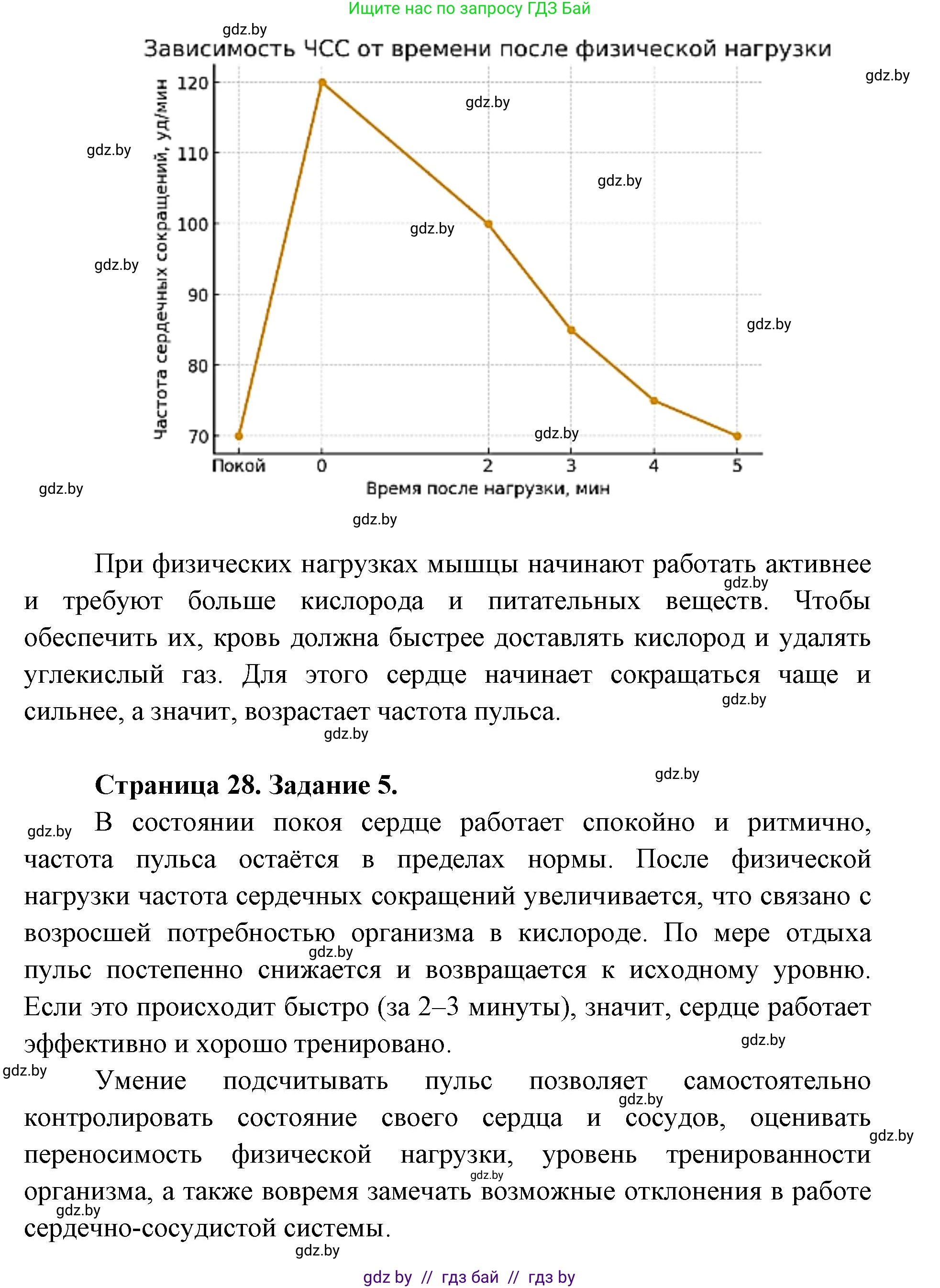 Биология, 9 класс Тетрадь для лабораторных и практических работ, автор: Лисов Николай Дмитриевич, издательство Аверсэв, Минск, 2025, оранжевого цвета, страница 24, Решение 2025 (продолжение 2)
