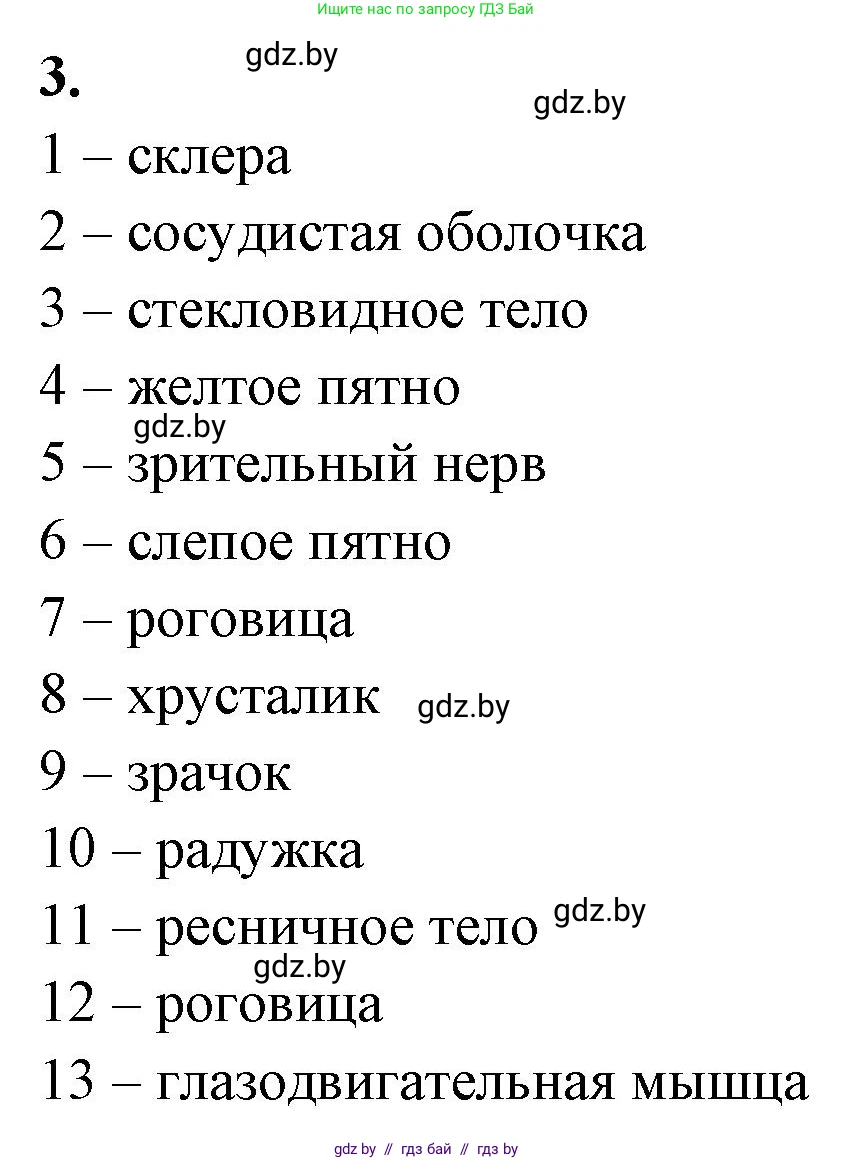 Биология, 9 класс рабочая тетрадь, автор: Лисов Николай Дмитриевич, издательство Аверсэв, Минск, 2021, оранжевого цвета, страница 28, номер 3, Решение
