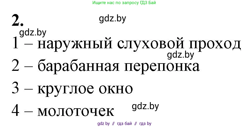 Биология, 9 класс рабочая тетрадь, автор: Лисов Николай Дмитриевич, издательство Аверсэв, Минск, 2021, оранжевого цвета, страница 32, номер 2, Решение