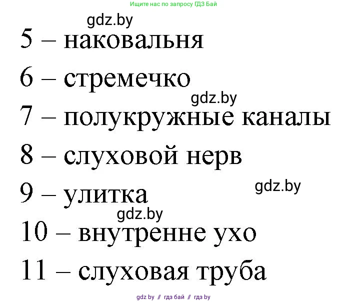 Биология, 9 класс рабочая тетрадь, автор: Лисов Николай Дмитриевич, издательство Аверсэв, Минск, 2021, оранжевого цвета, страница 32, номер 2, Решение (продолжение 2)