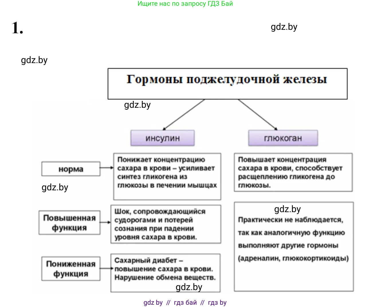 Биология, 9 класс рабочая тетрадь, автор: Лисов Николай Дмитриевич, издательство Аверсэв, Минск, 2021, оранжевого цвета, страница 36, номер 1, Решение