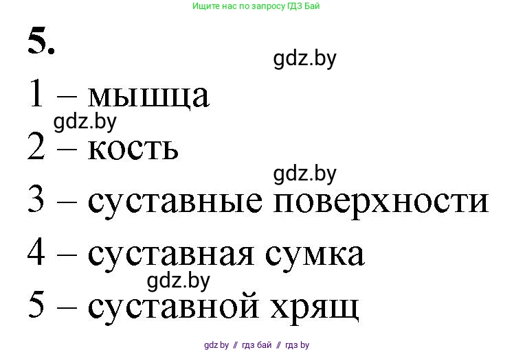 Биология, 9 класс рабочая тетрадь, автор: Лисов Николай Дмитриевич, издательство Аверсэв, Минск, 2021, оранжевого цвета, страница 38, номер 5, Решение