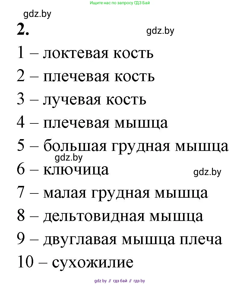 Биология, 9 класс рабочая тетрадь, автор: Лисов Николай Дмитриевич, издательство Аверсэв, Минск, 2021, оранжевого цвета, страница 46, номер 2, Решение