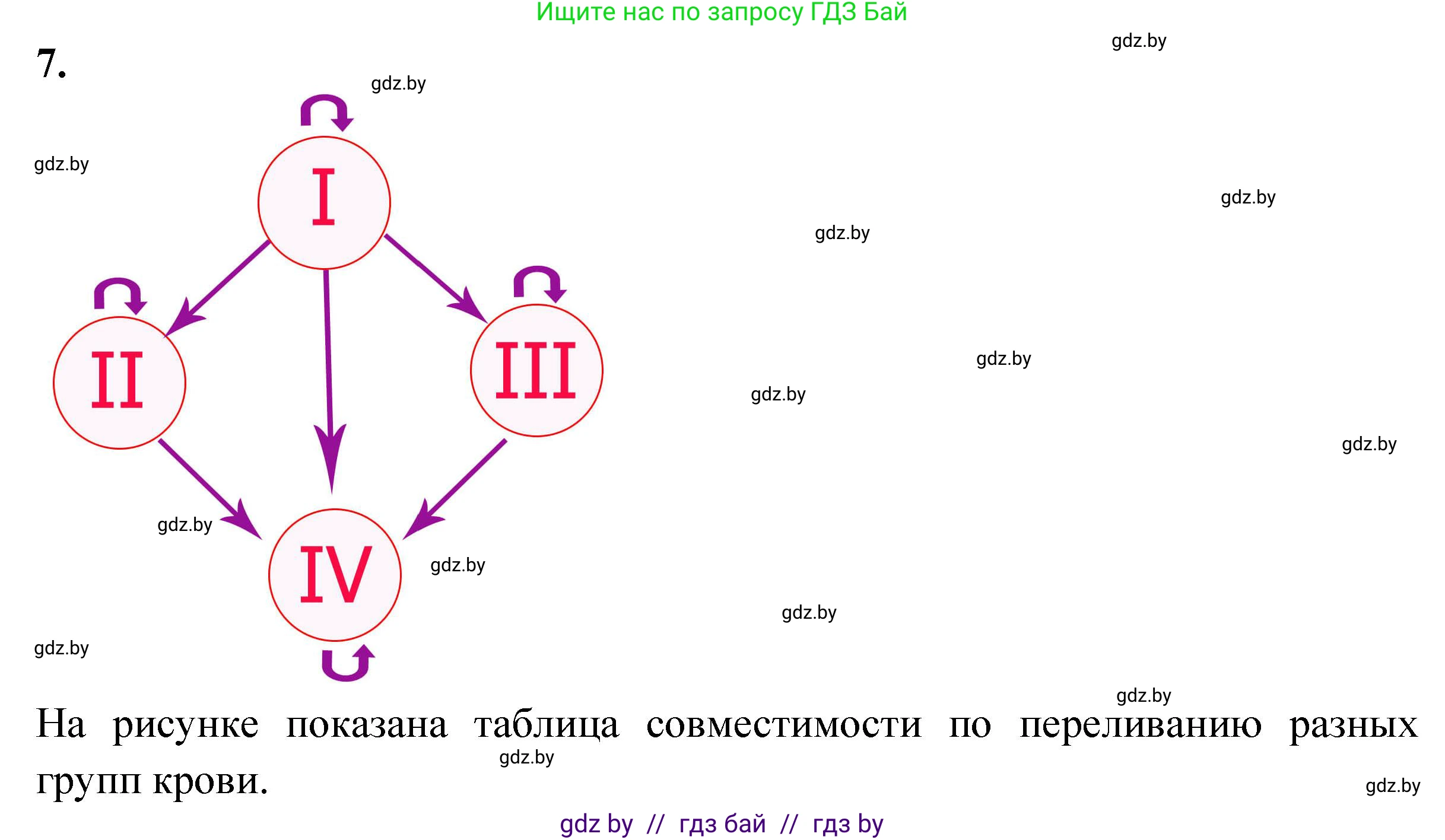 Биология, 9 класс рабочая тетрадь, автор: Лисов Николай Дмитриевич, издательство Аверсэв, Минск, 2021, оранжевого цвета, страница 61, номер 7, Решение