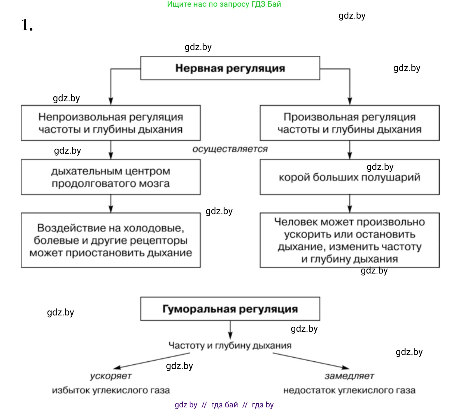 Биология, 9 класс рабочая тетрадь, автор: Лисов Николай Дмитриевич, издательство Аверсэв, Минск, 2021, оранжевого цвета, страница 93, номер 1, Решение
