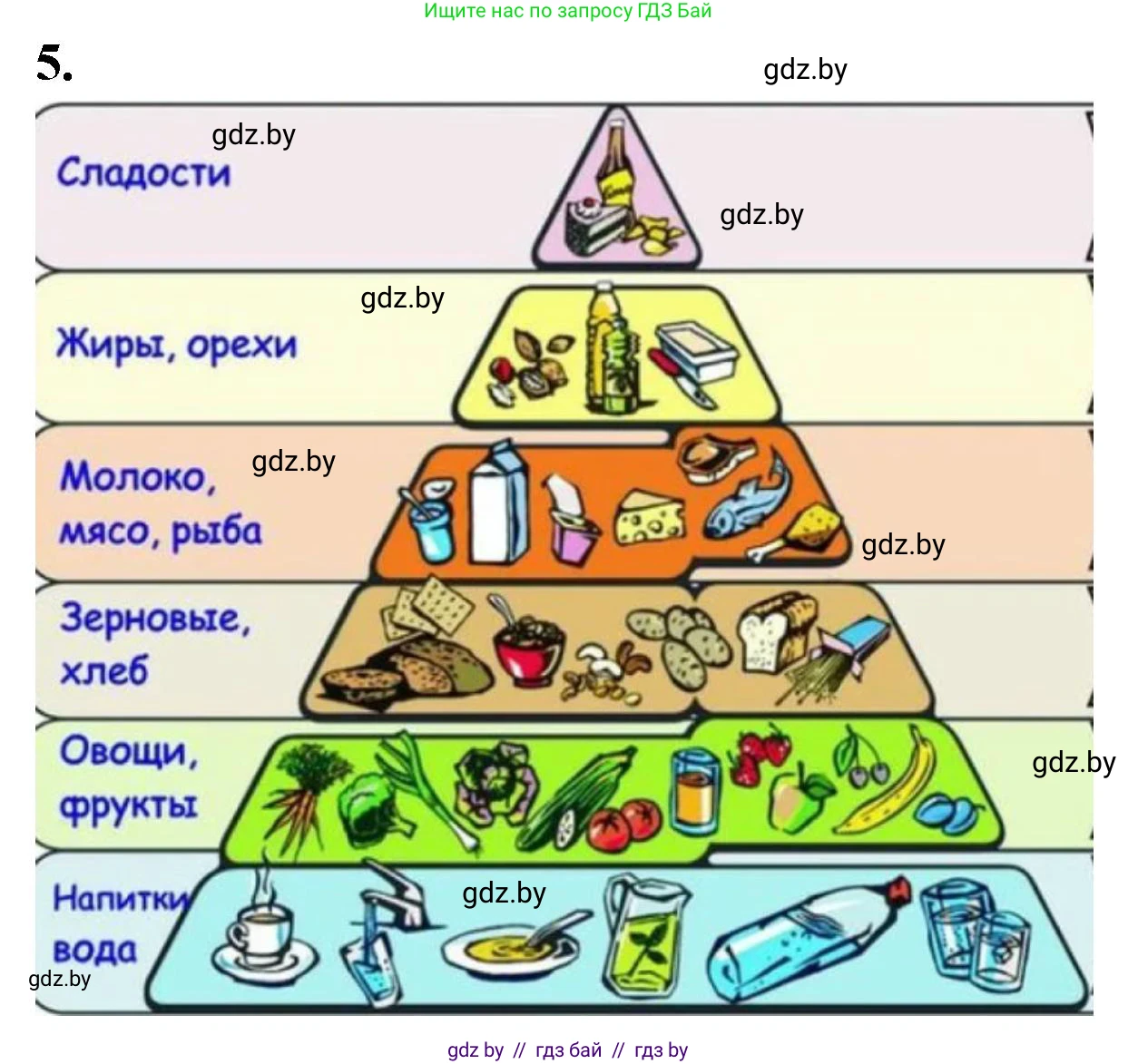Биология, 9 класс рабочая тетрадь, автор: Лисов Николай Дмитриевич, издательство Аверсэв, Минск, 2021, оранжевого цвета, страница 101, номер 5, Решение