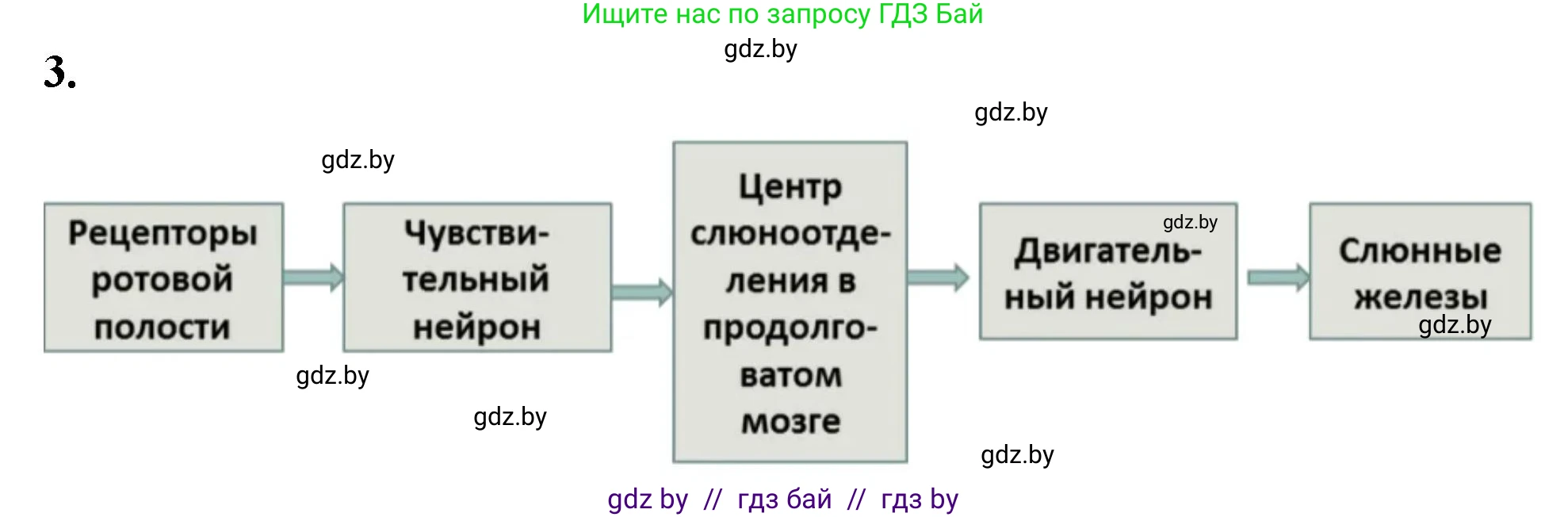 Биология, 9 класс рабочая тетрадь, автор: Лисов Николай Дмитриевич, издательство Аверсэв, Минск, 2021, оранжевого цвета, страница 110, номер 3, Решение