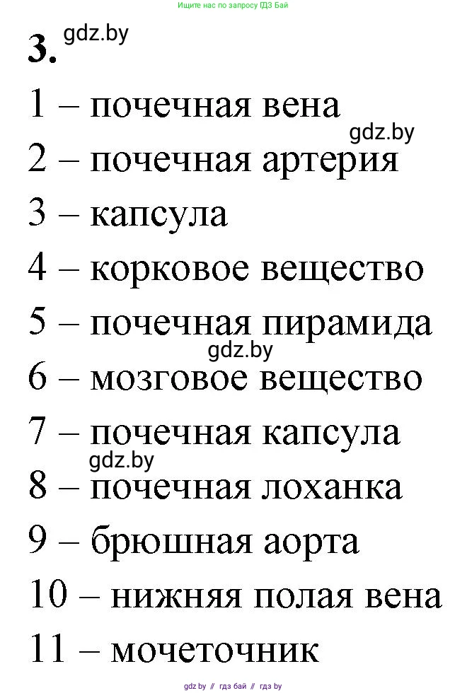 Биология, 9 класс рабочая тетрадь, автор: Лисов Николай Дмитриевич, издательство Аверсэв, Минск, 2021, оранжевого цвета, страница 112, номер 3, Решение