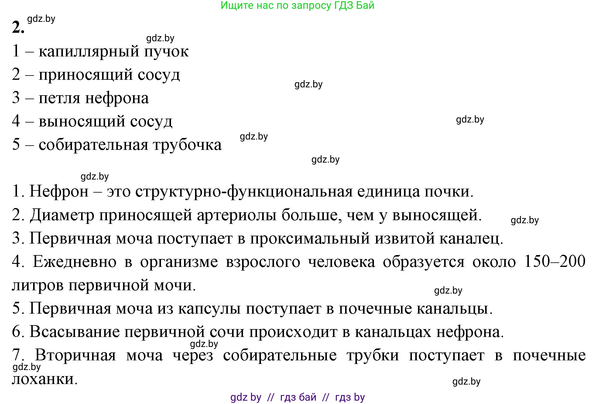 Биология, 9 класс рабочая тетрадь, автор: Лисов Николай Дмитриевич, издательство Аверсэв, Минск, 2021, оранжевого цвета, страница 113, номер 2, Решение