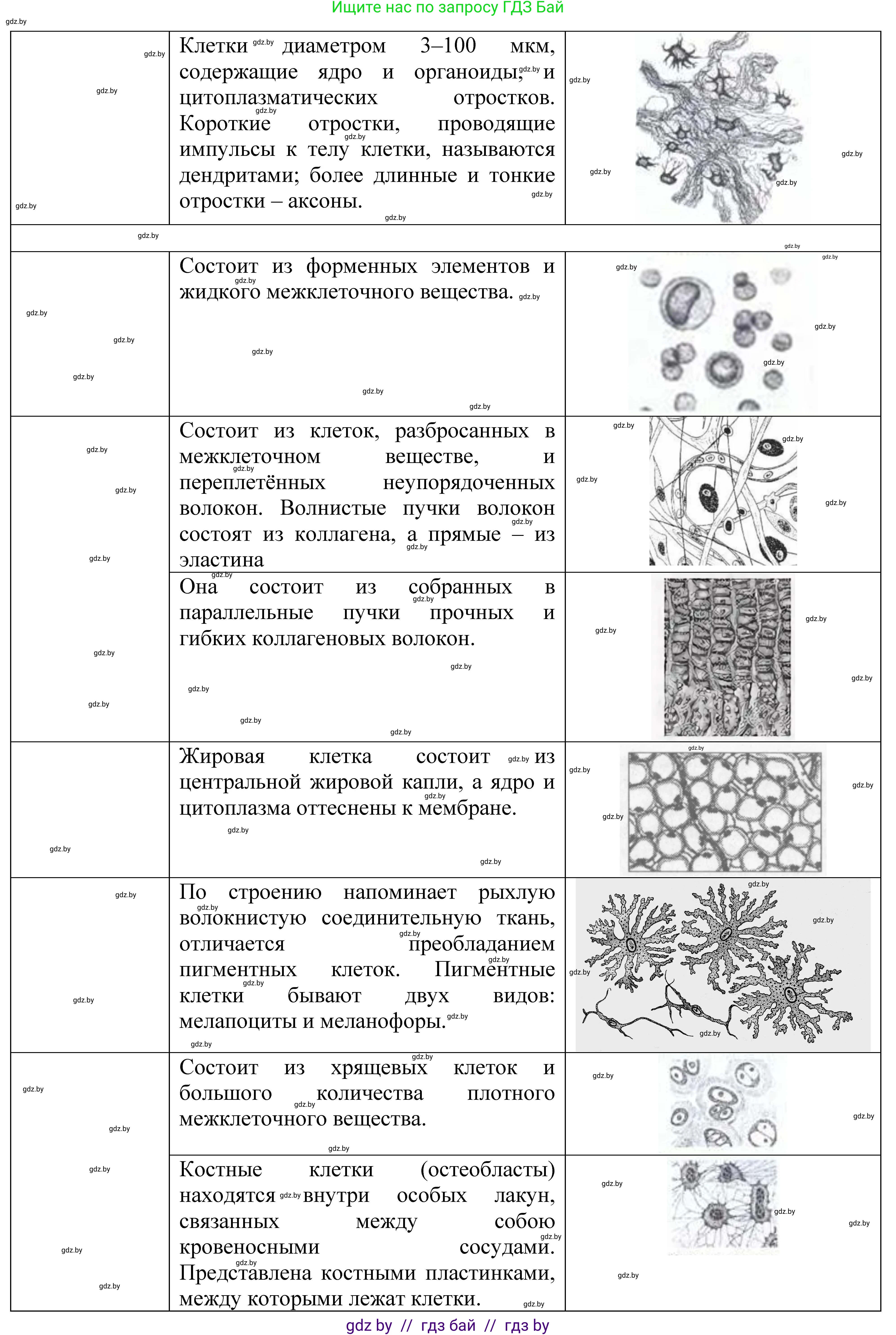 Биология, 9 класс тетрадь для демонстрационных опытов, лабораторных и практических работ, автор: Рогожников Олег Николаевич, издательство Сэр-Вит, Минск, 2023, оранжевого цвета, страница 5, номер 4, Решение (продолжение 2)