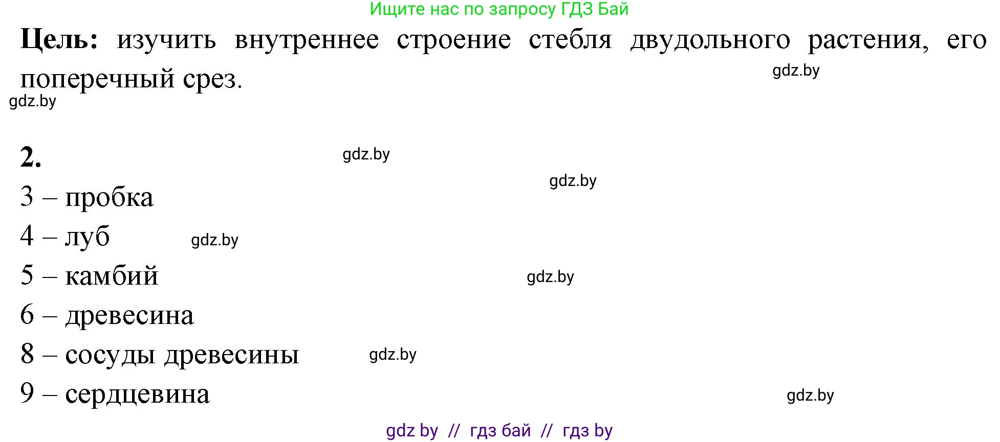 Биология, 10 класс Тетрадь для лабораторных и практических работ, автор: Хруцкая Тамара Викторовна, издательство Аверсэв, Минск, 2020, зелёного цвета, страница 12, номер 2, Решение