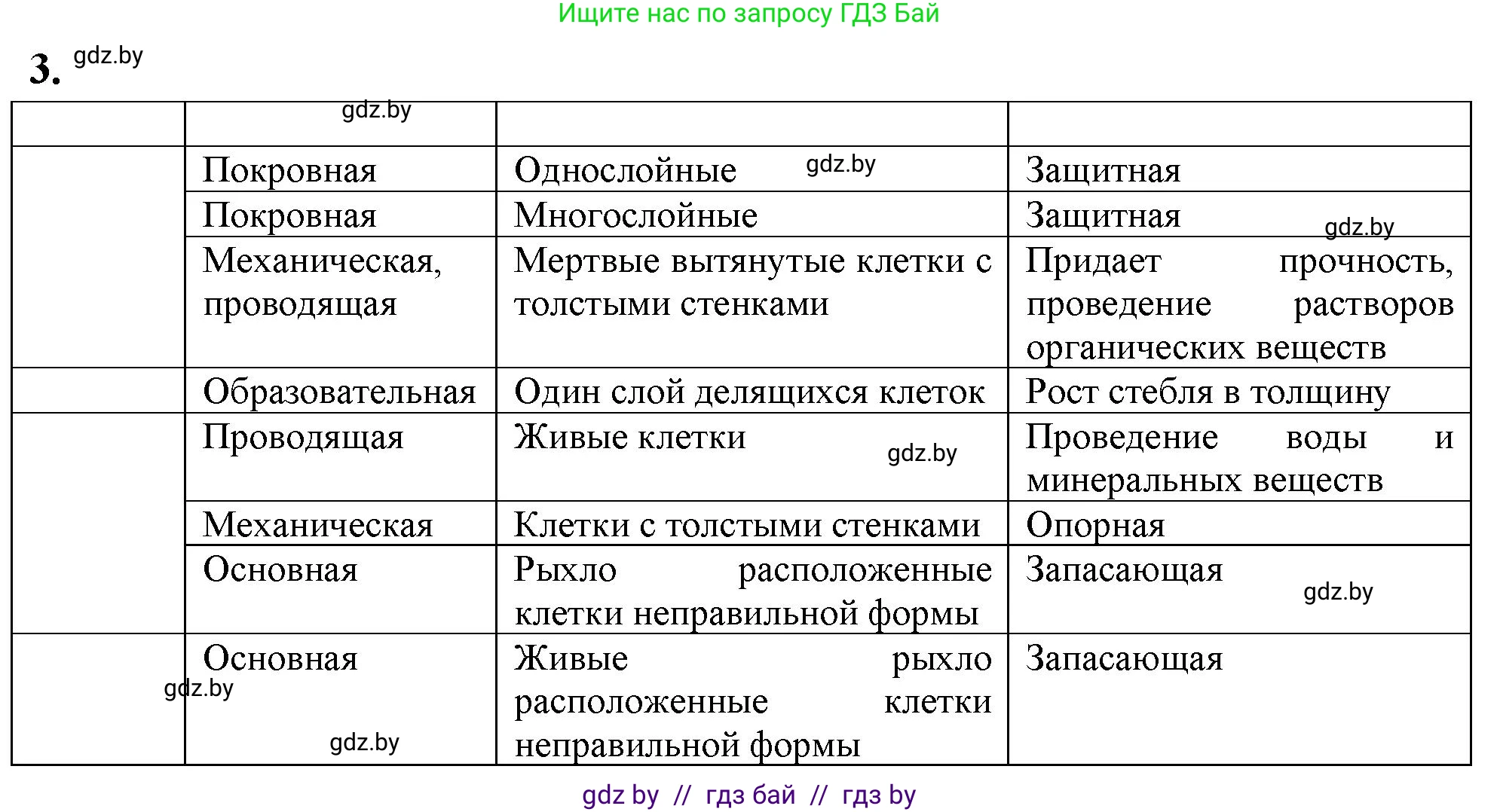 Биология, 10 класс Тетрадь для лабораторных и практических работ, автор: Хруцкая Тамара Викторовна, издательство Аверсэв, Минск, 2020, зелёного цвета, страница 13, номер 3, Решение