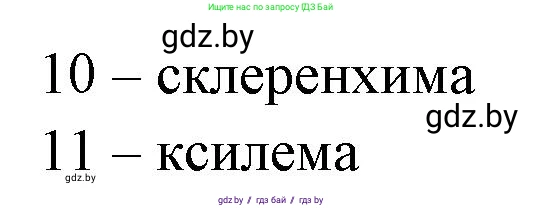 Биология, 10 класс Тетрадь для лабораторных и практических работ, автор: Хруцкая Тамара Викторовна, издательство Аверсэв, Минск, 2020, зелёного цвета, страница 16, номер 5, Решение (продолжение 2)