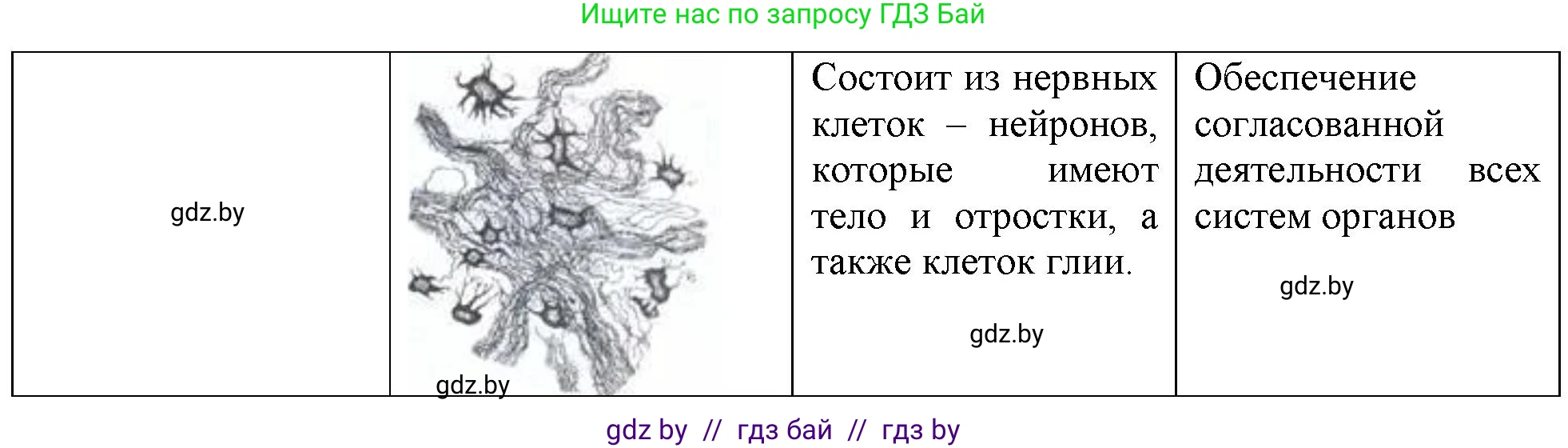 Биология, 10 класс Тетрадь для лабораторных и практических работ, автор: Хруцкая Тамара Викторовна, издательство Аверсэв, Минск, 2020, зелёного цвета, страница 18, номер 2, Решение (продолжение 3)