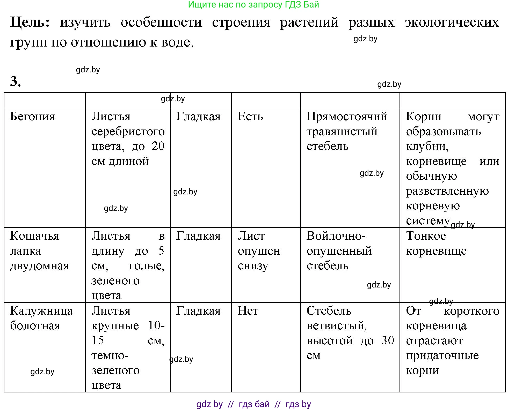 Биология, 10 класс Тетрадь для лабораторных и практических работ, автор: Хруцкая Тамара Викторовна, издательство Аверсэв, Минск, 2020, зелёного цвета, страница 21, номер 3, Решение