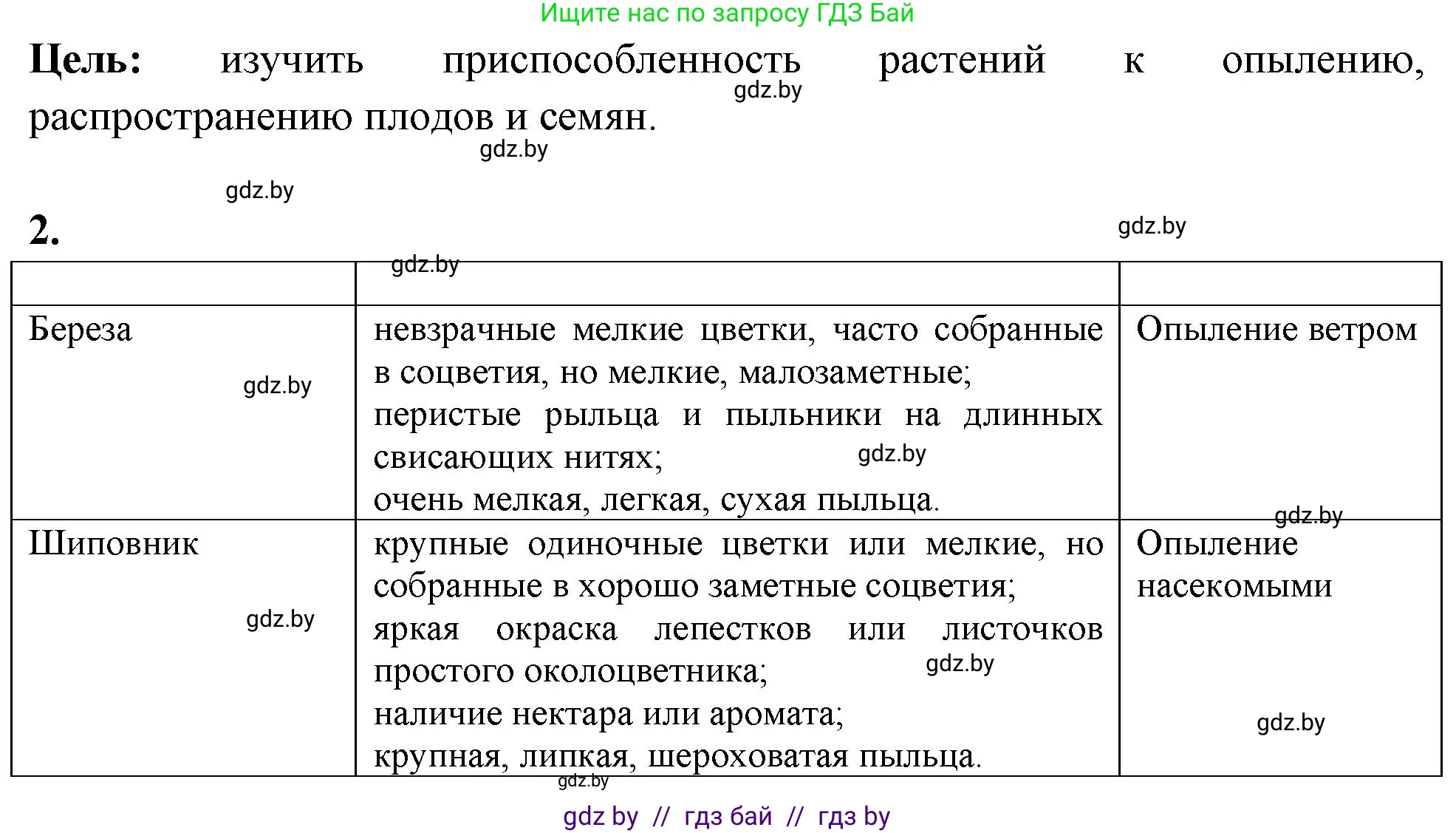 Биология, 10 класс Тетрадь для лабораторных и практических работ, автор: Хруцкая Тамара Викторовна, издательство Аверсэв, Минск, 2020, зелёного цвета, страница 38, номер 2, Решение