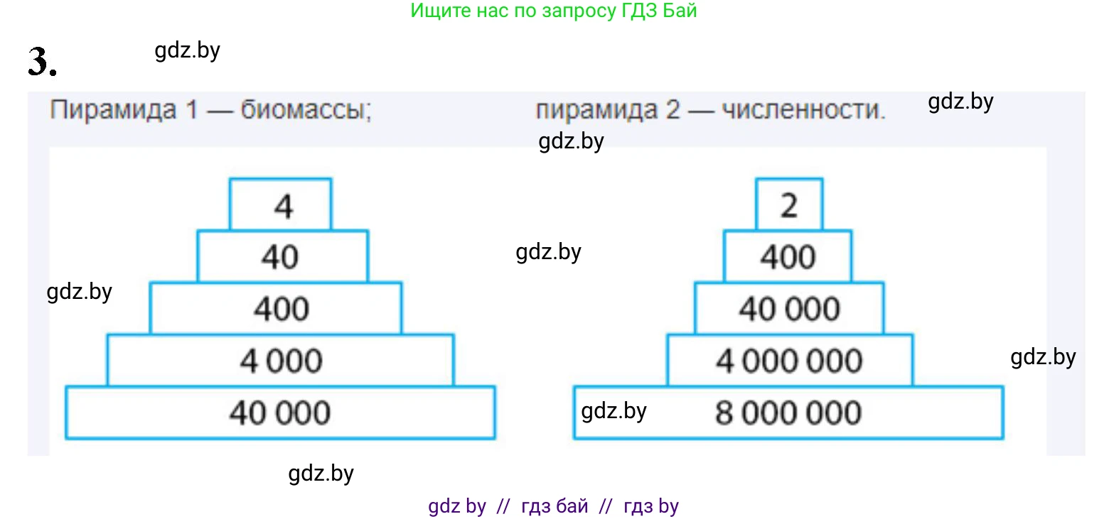 Биология, 10 класс Тетрадь для лабораторных и практических работ, автор: Хруцкая Тамара Викторовна, издательство Аверсэв, Минск, 2020, зелёного цвета, страница 96, номер 3, Решение
