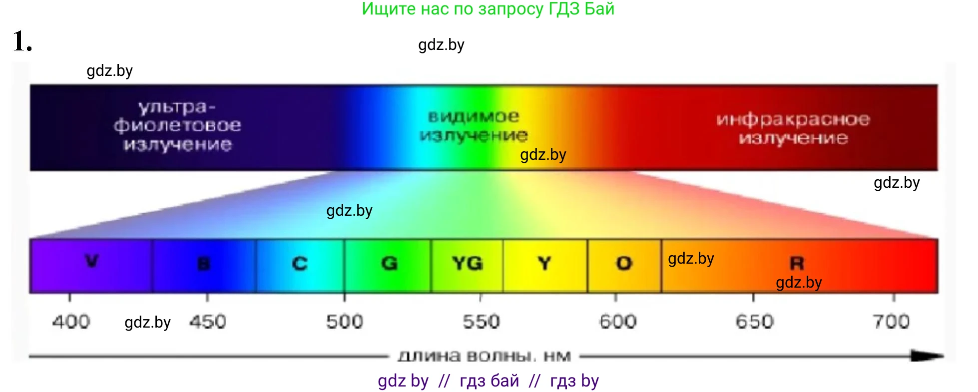 Биология, 10 класс рабочая тетрадь, автор: Хруцкая Тамара Викторовна, издательство Аверсэв, Минск, 2020, оранжевого цвета, страница 12, номер 1, Решение