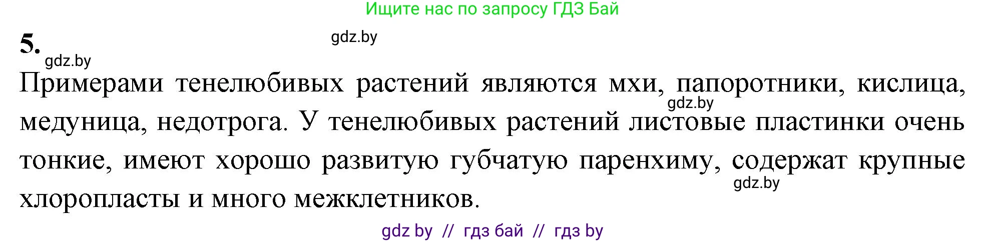 Биология, 10 класс рабочая тетрадь, автор: Хруцкая Тамара Викторовна, издательство Аверсэв, Минск, 2020, оранжевого цвета, страница 13, номер 5, Решение