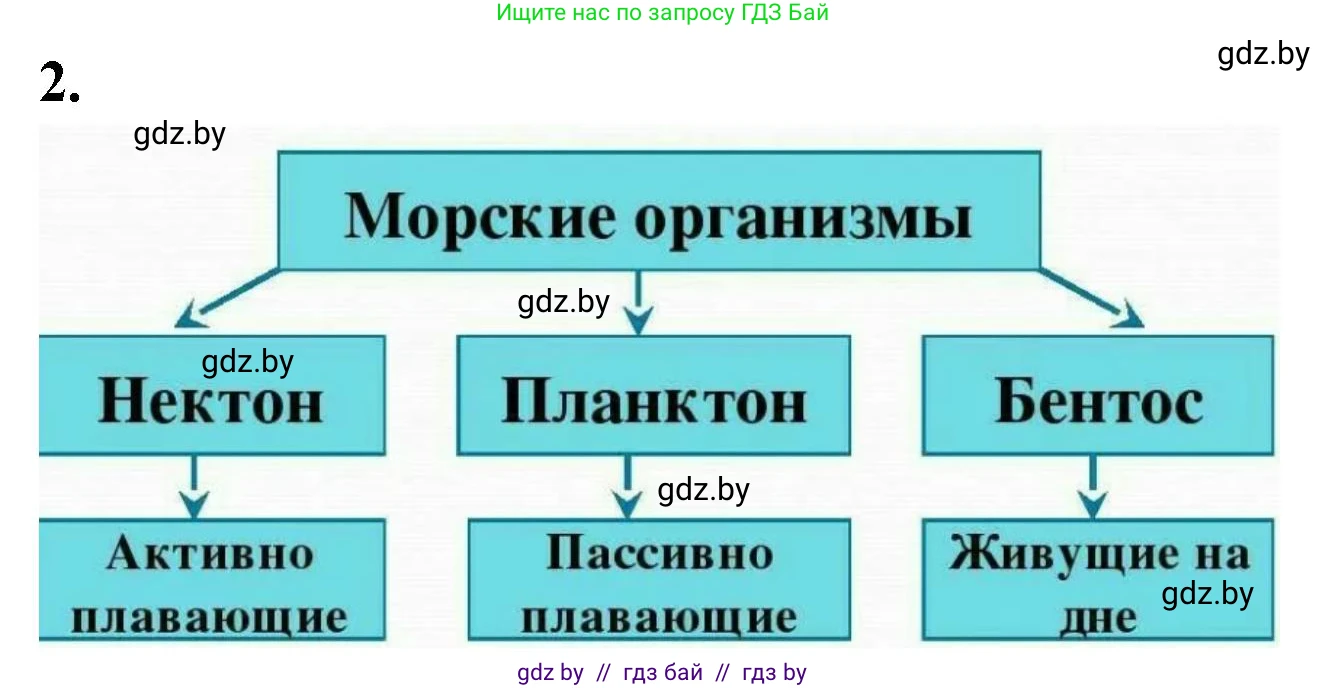 Биология, 10 класс рабочая тетрадь, автор: Хруцкая Тамара Викторовна, издательство Аверсэв, Минск, 2020, оранжевого цвета, страница 23, номер 2, Решение