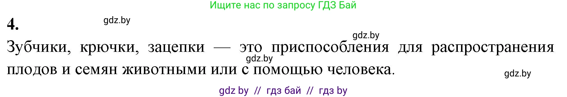 Биология, 10 класс рабочая тетрадь, автор: Хруцкая Тамара Викторовна, издательство Аверсэв, Минск, 2020, оранжевого цвета, страница 27, номер 4, Решение