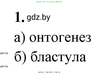 Биология, 10 класс рабочая тетрадь, автор: Хруцкая Тамара Викторовна, издательство Аверсэв, Минск, 2020, оранжевого цвета, страница 62, номер 1, Решение