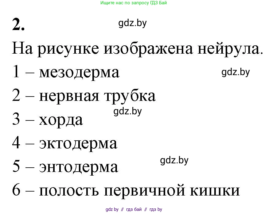 Биология, 10 класс рабочая тетрадь, автор: Хруцкая Тамара Викторовна, издательство Аверсэв, Минск, 2020, оранжевого цвета, страница 62, номер 2, Решение