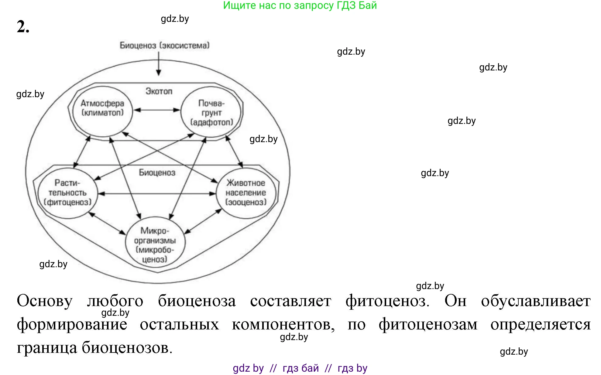 Биология, 10 класс рабочая тетрадь, автор: Хруцкая Тамара Викторовна, издательство Аверсэв, Минск, 2020, оранжевого цвета, страница 78, номер 2, Решение