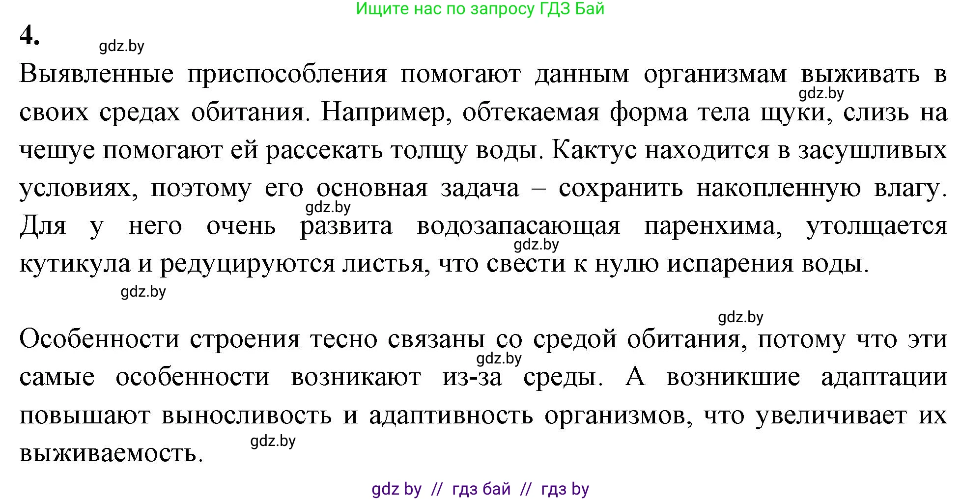 Биология, 10 класс рабочая тетрадь, автор: Хруцкая Тамара Викторовна, издательство Аверсэв, Минск, 2020, оранжевого цвета, страница 19, номер 4, Решение